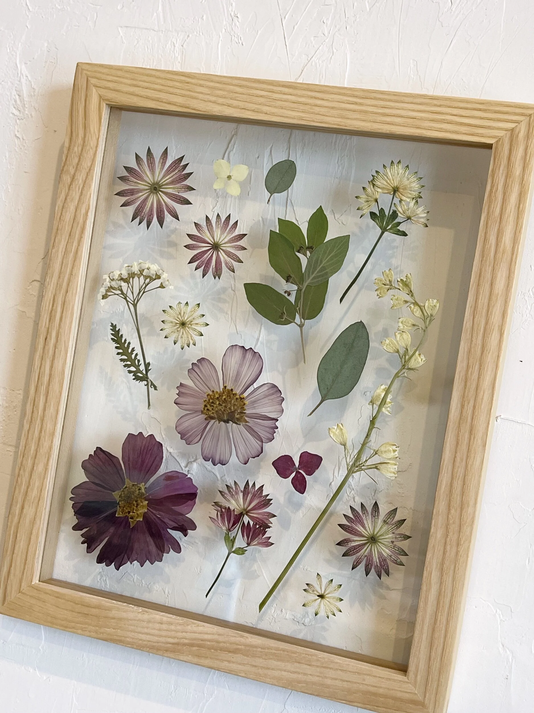 35D595CB-D846-49BF-9E9C-D57879F72960