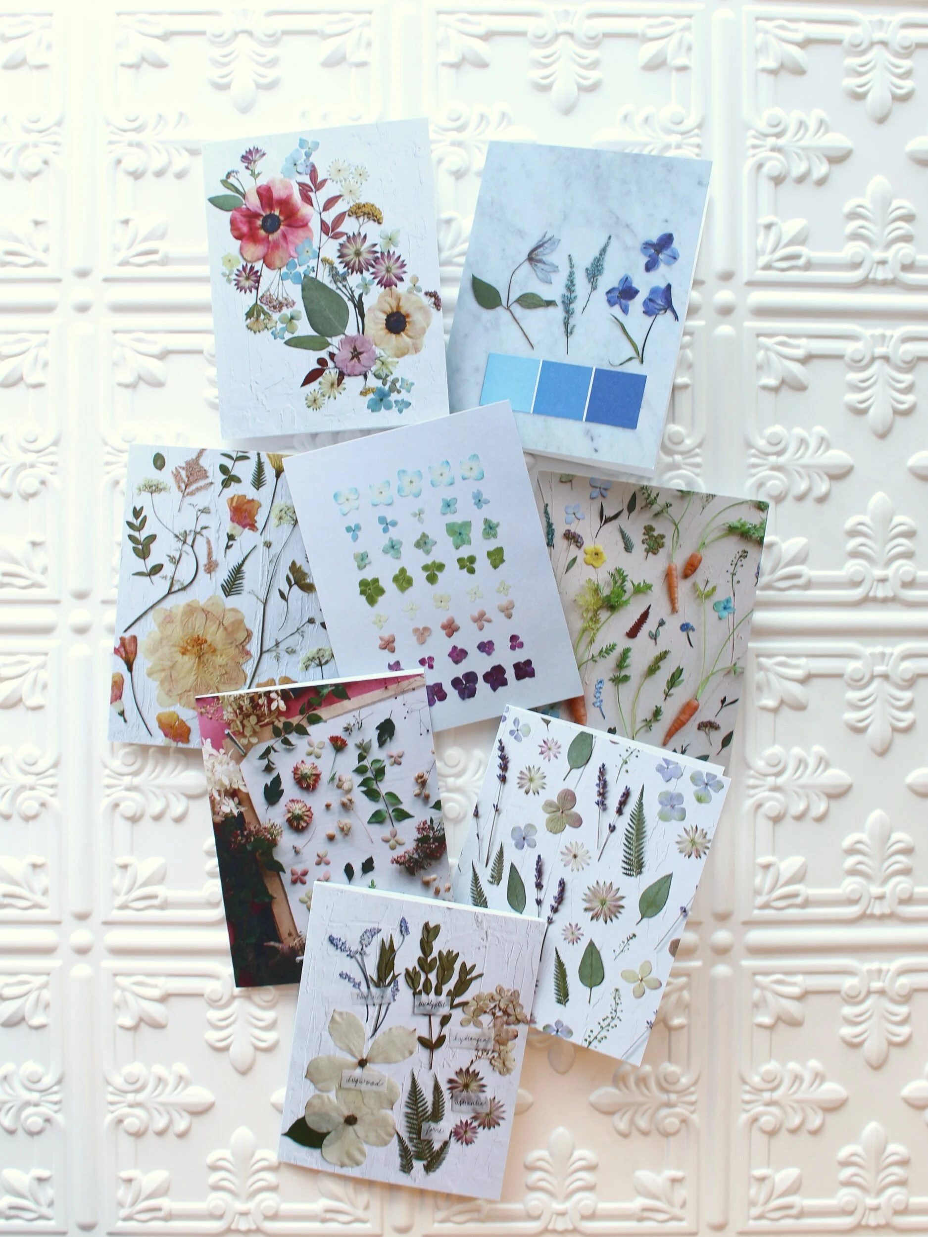 C080F438-BF95-4A3A-906B-6FA56A36ADCF