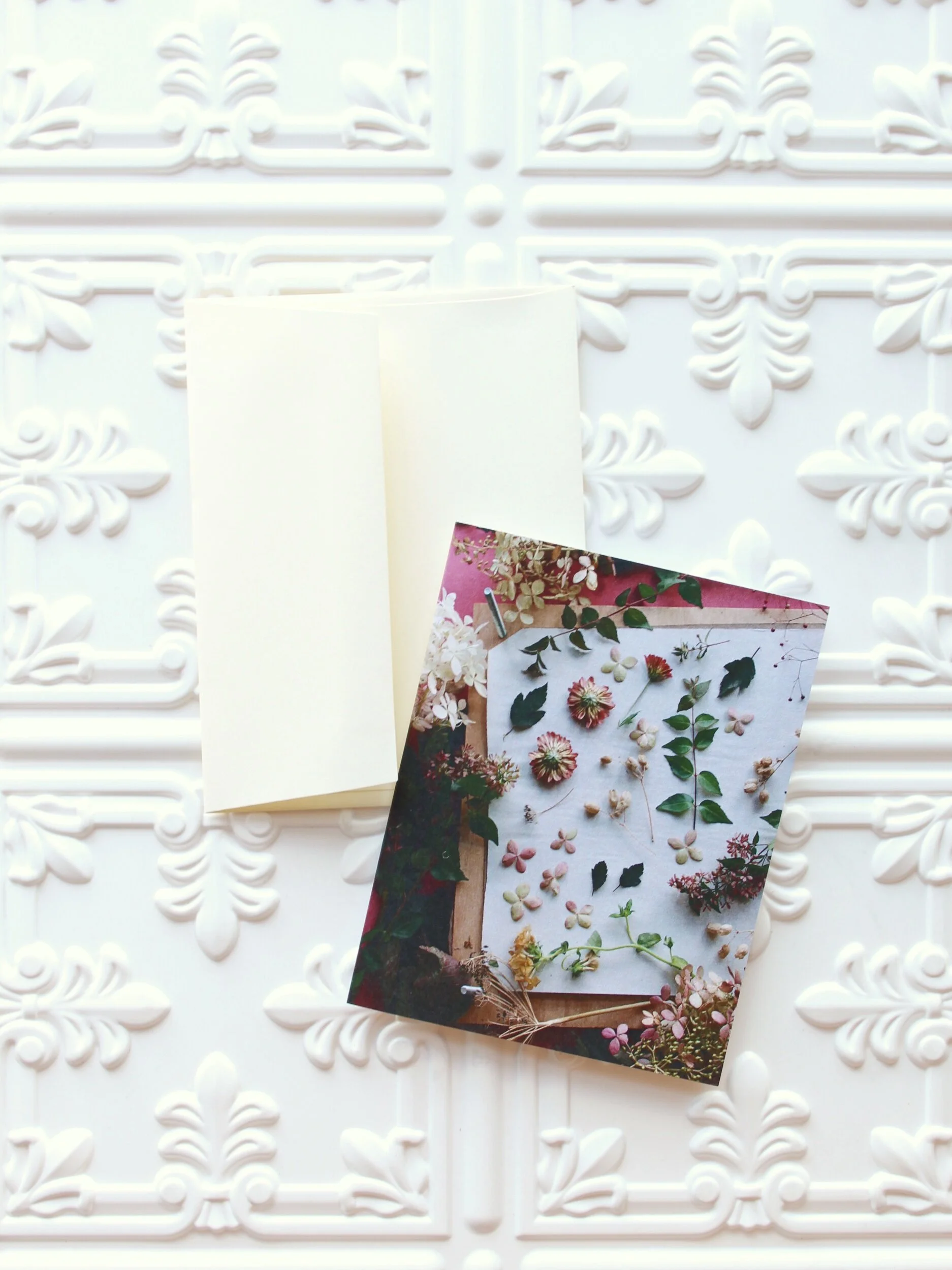 7D7E403C-169D-48B9-9A9E-132DA6E8192F