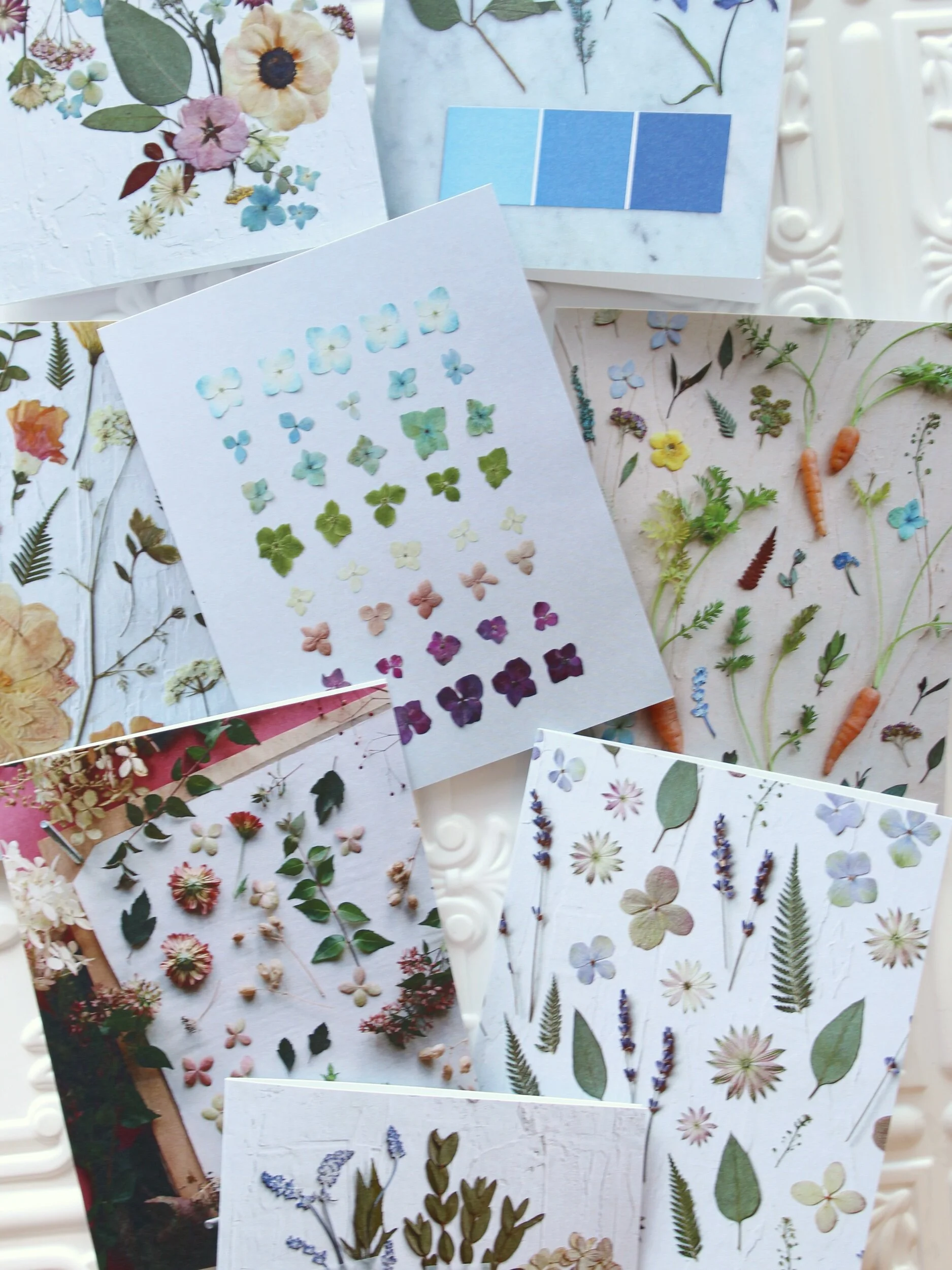 667FD776-B268-454F-97DF-32C5F0BBD704