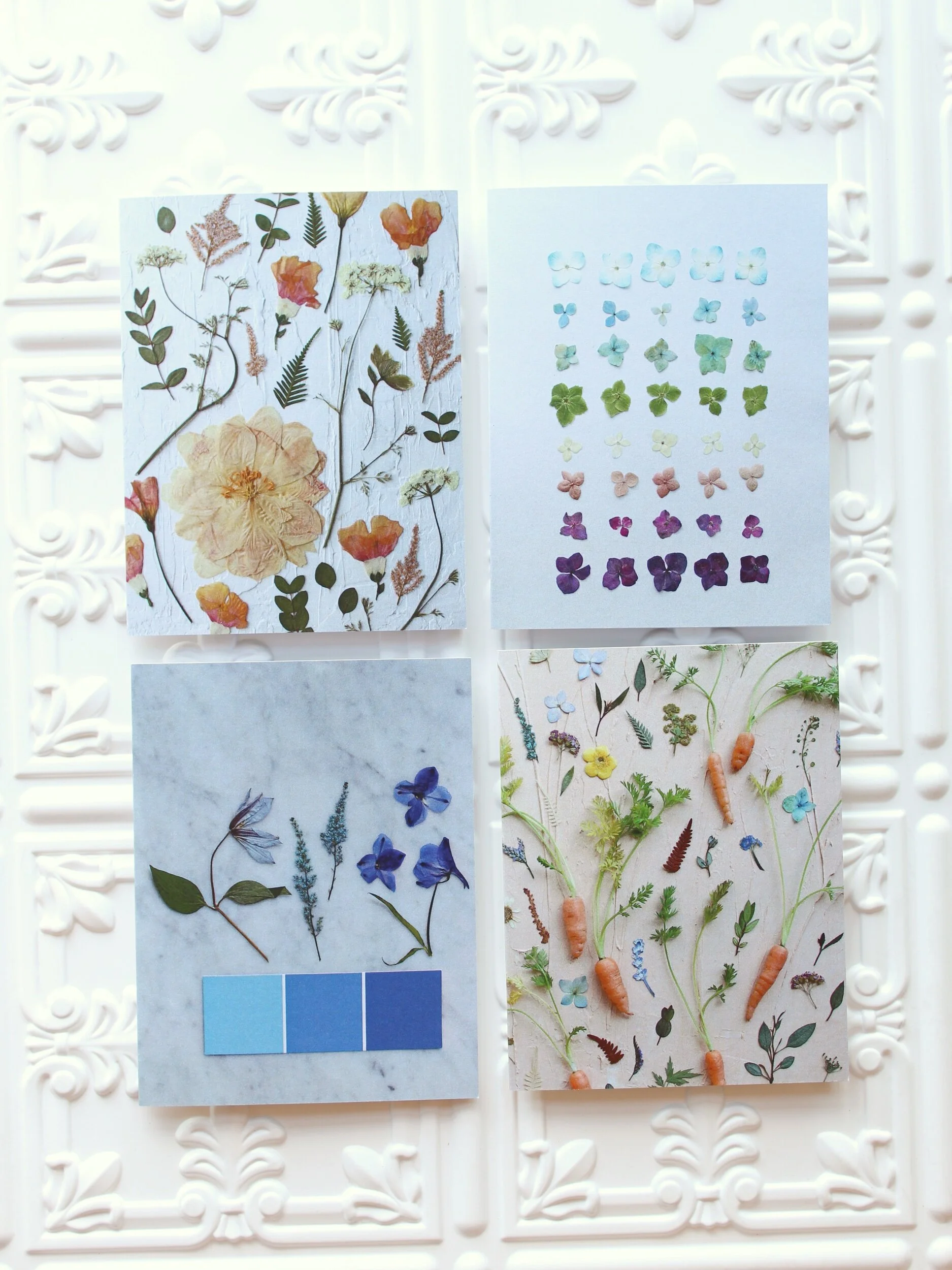 939E705A-A49F-4D96-9E1B-B53EDA53E738