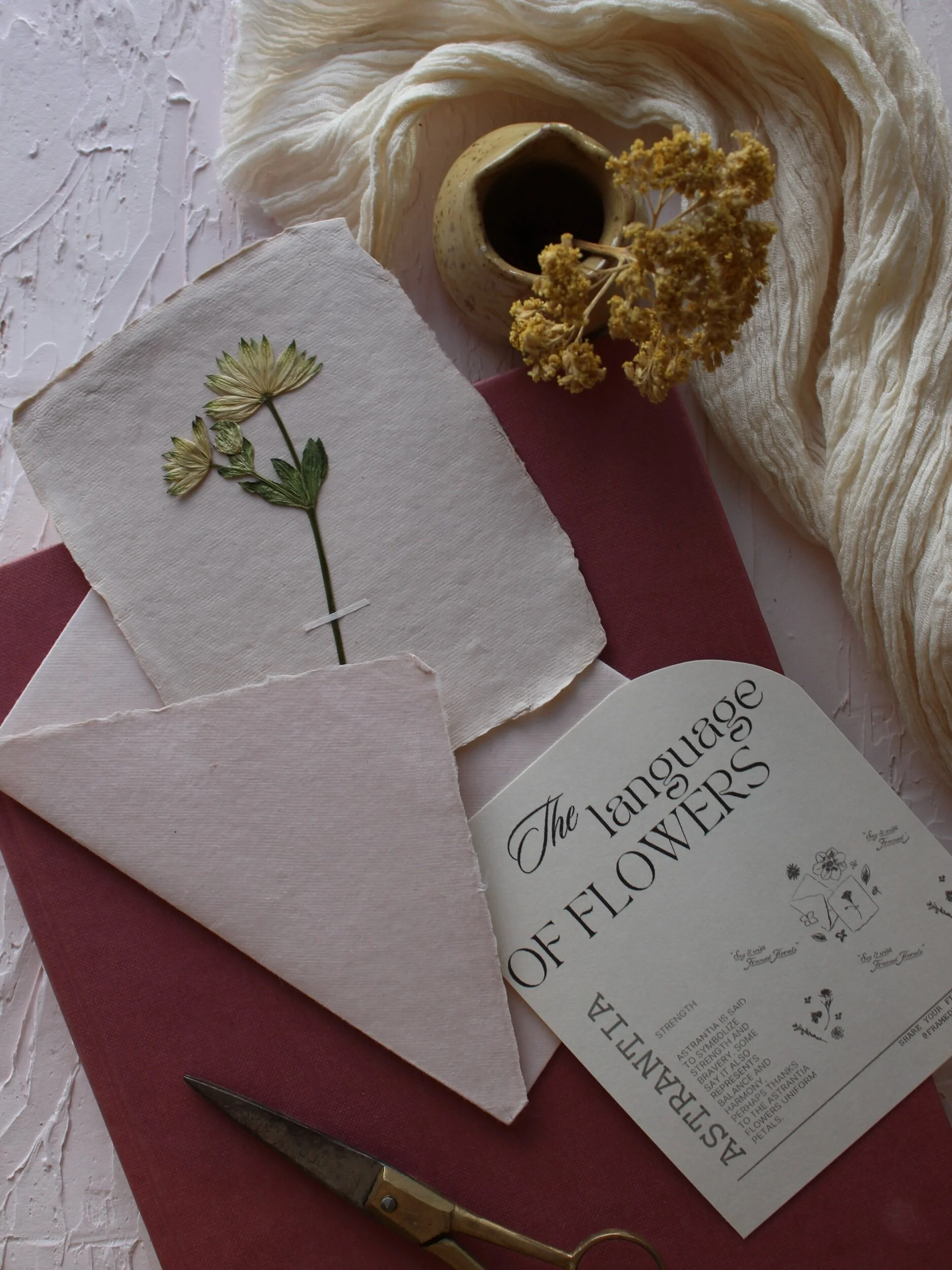 6EDF1262-1F5C-4EB9-A8DB-A53567B98A06