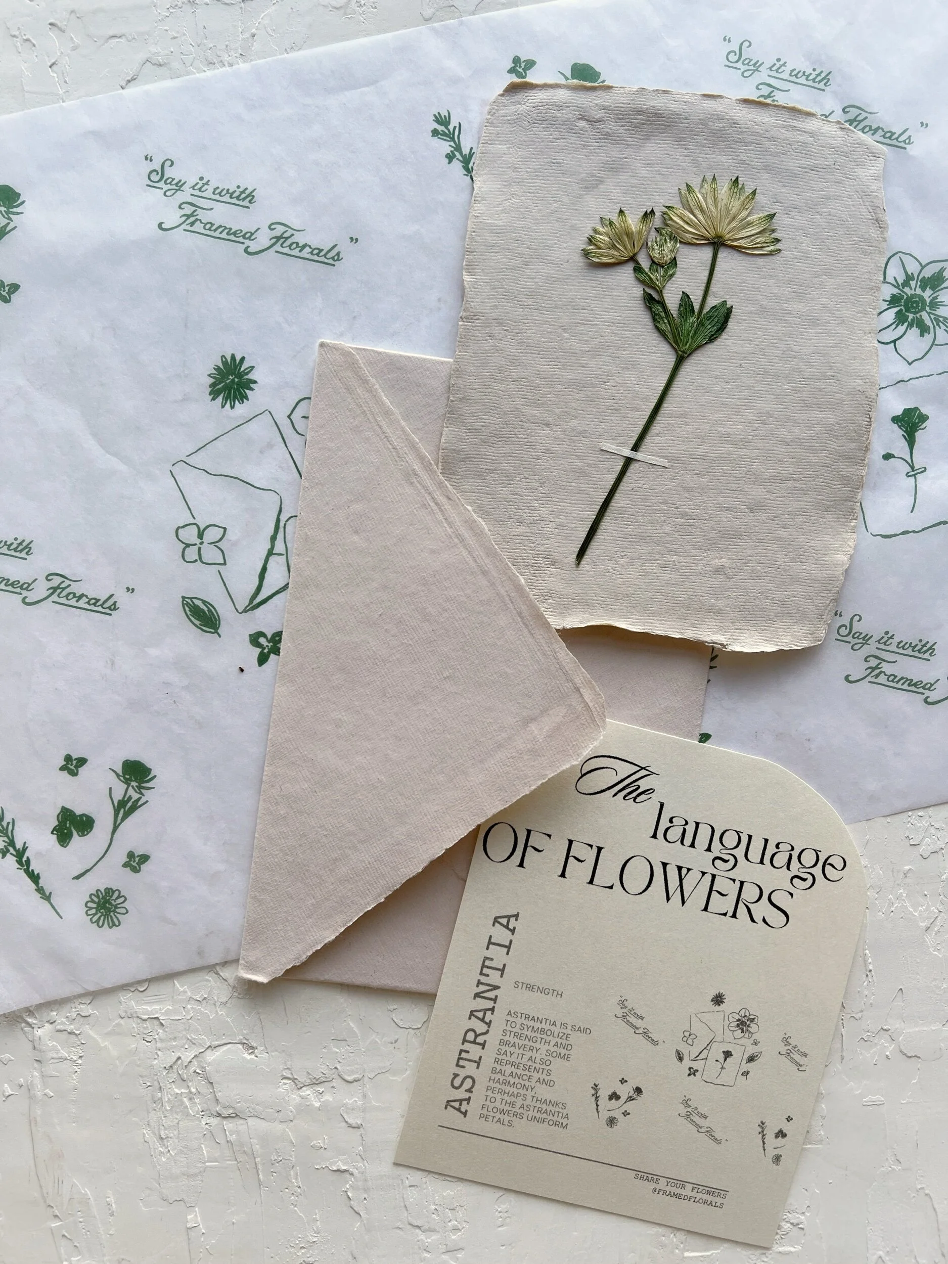 63D983B0-C5FE-4A53-9BCF-CB7A334C27B0