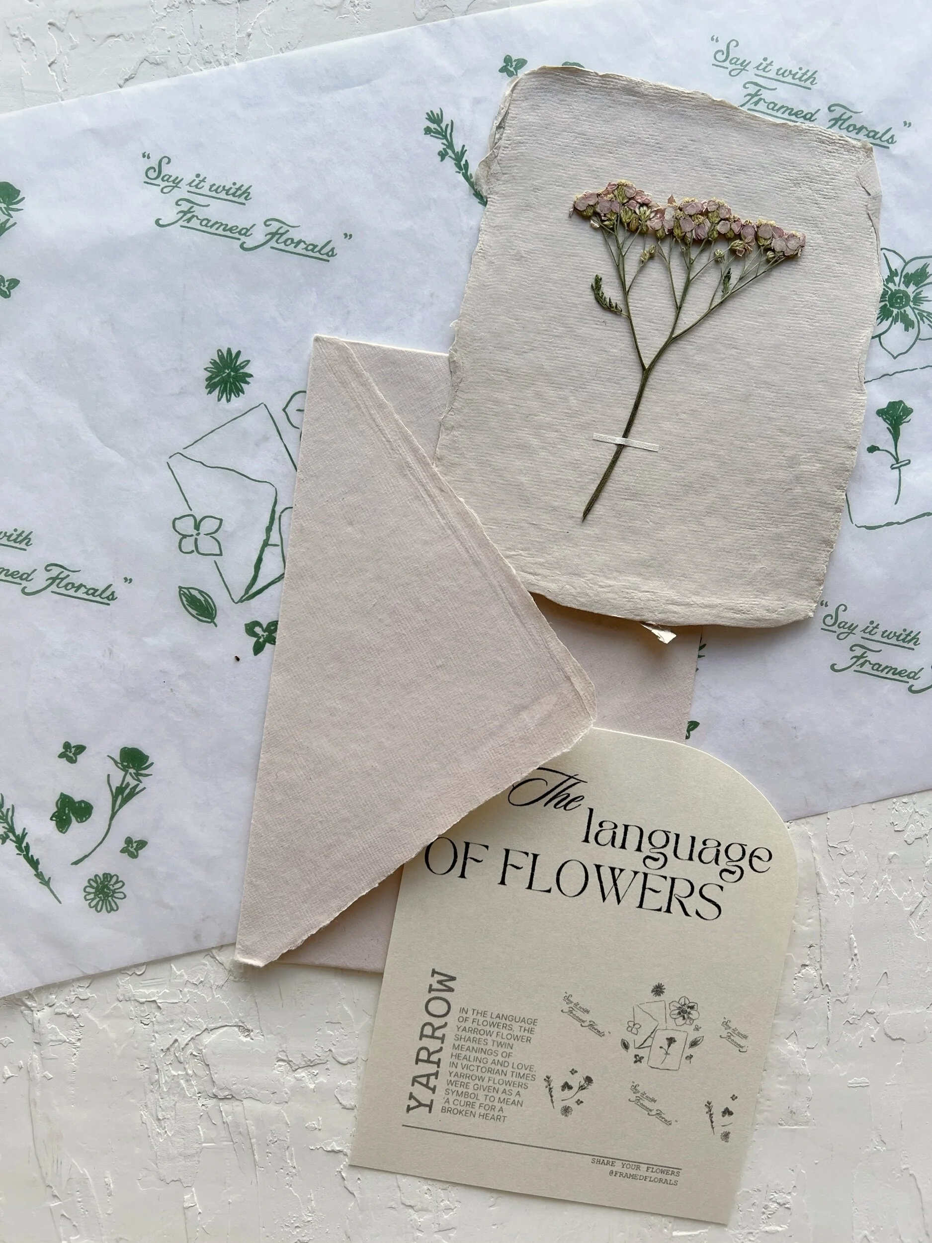 3F0FD75B-D5AC-4674-AE6B-D8CDF92C48E2