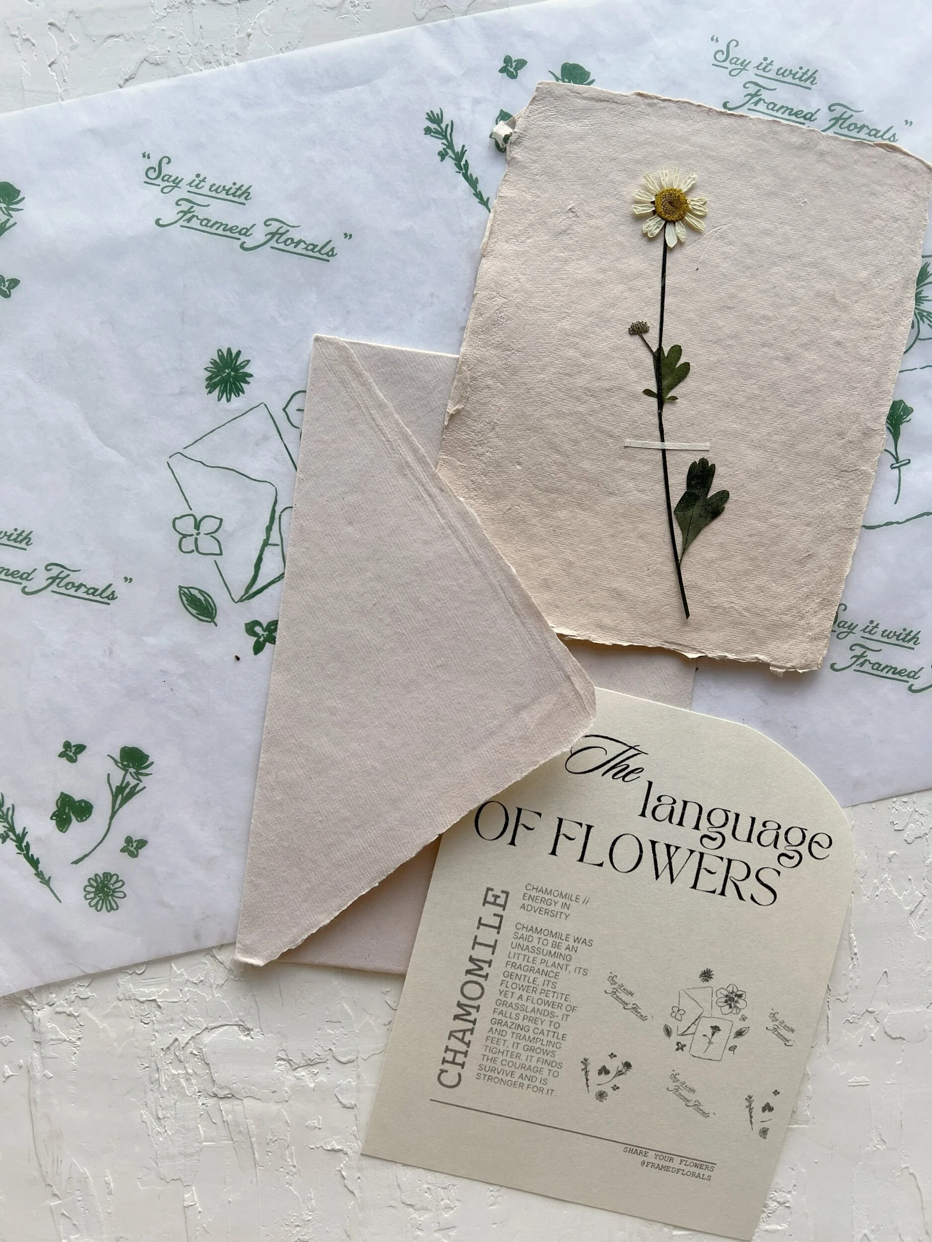 B637185F-4E46-4472-BF31-0FDD6C9D4848