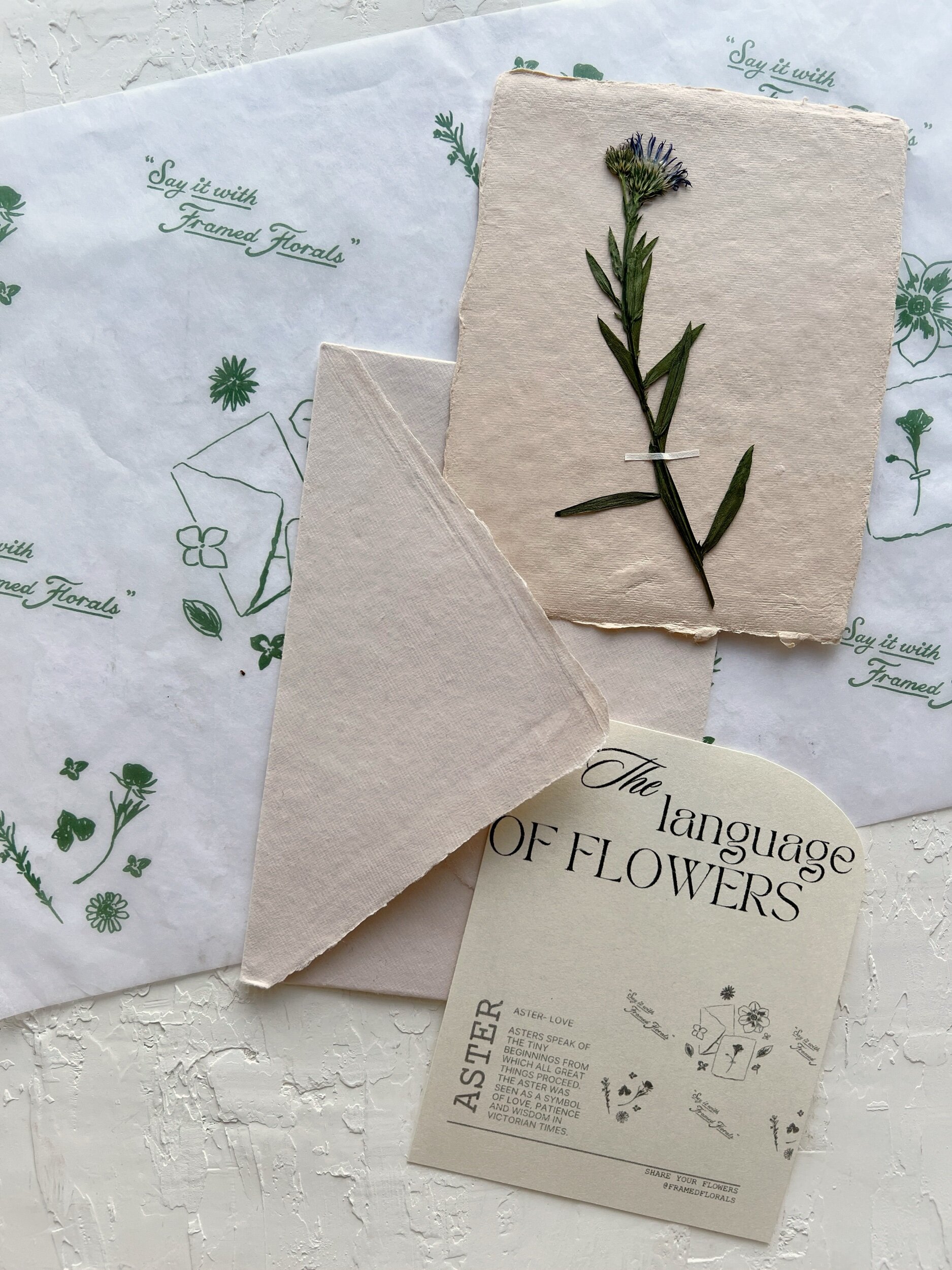 2B76C8C9-7340-4CF1-9070-F33D7DE7CB39