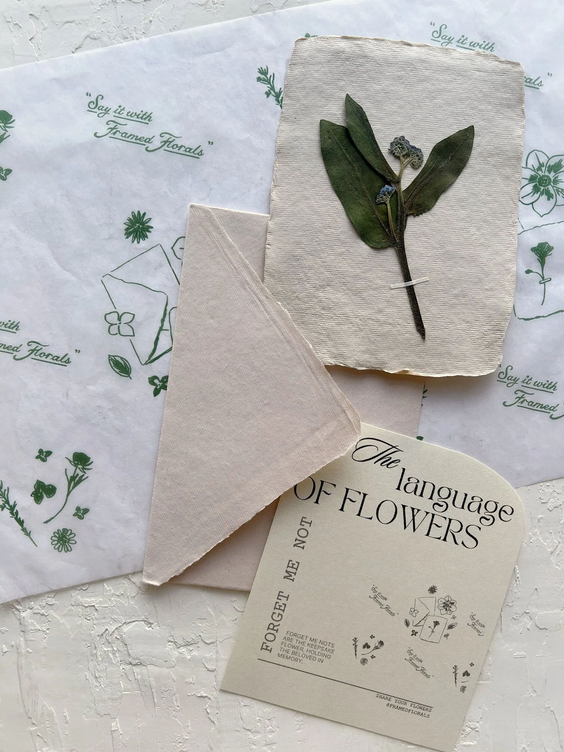 71FEB733-F233-405F-A648-4AC9ABBE5476