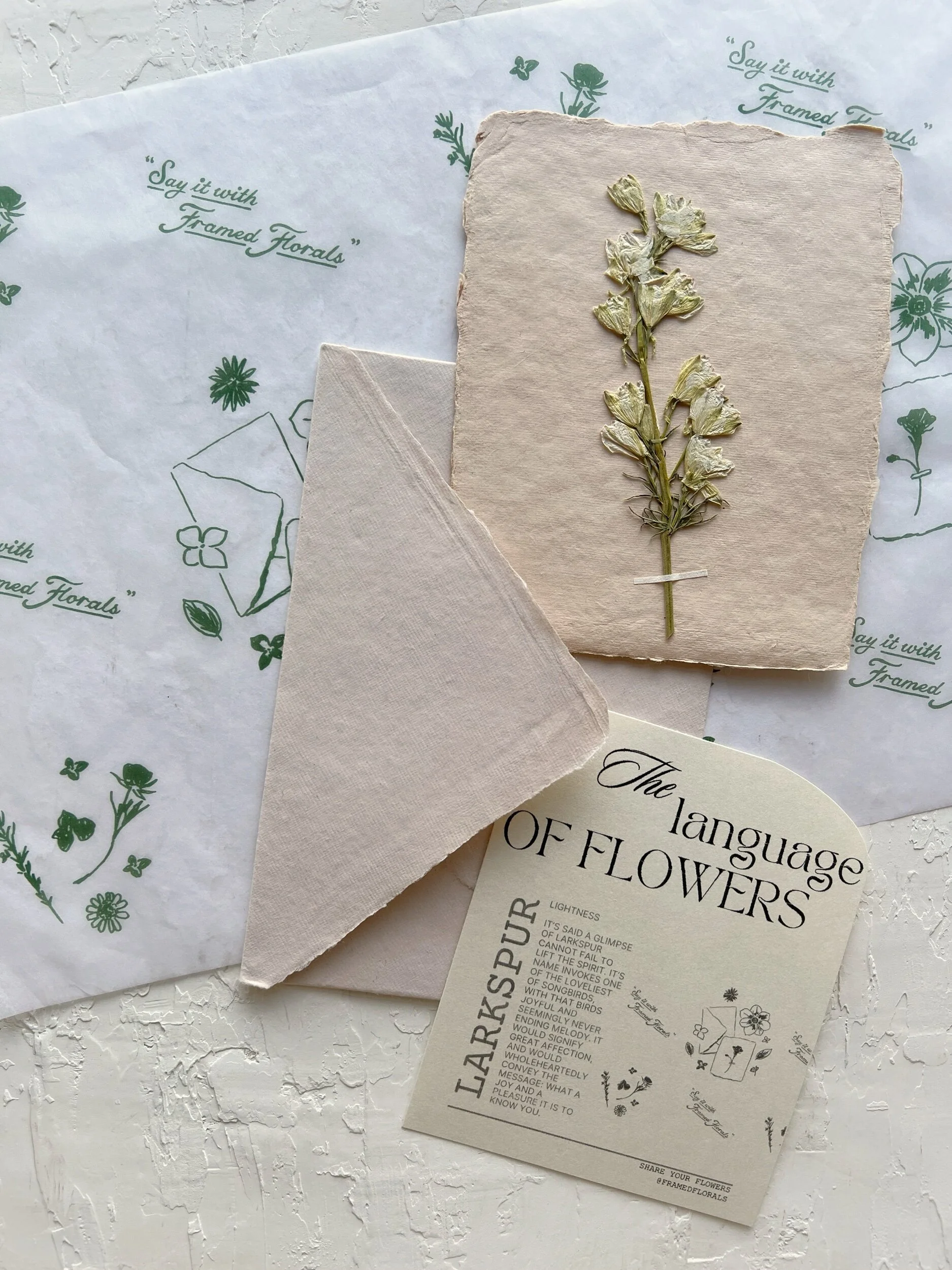 143213F2-4043-4A98-A916-C1DD2E56F66C