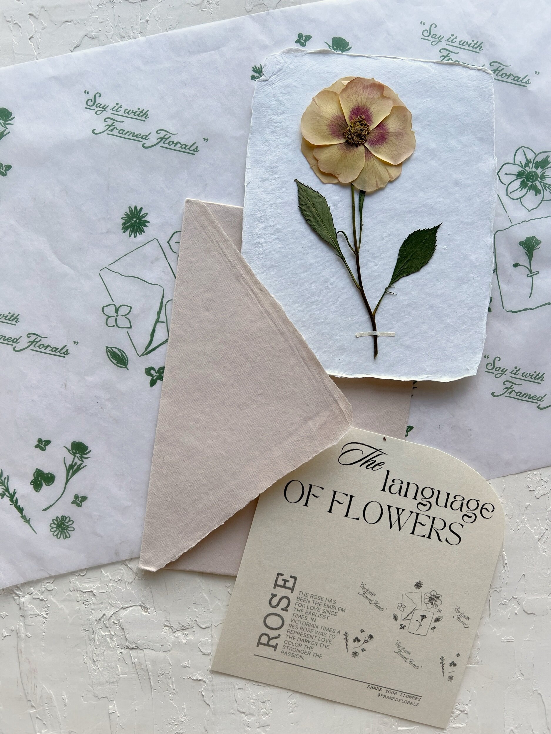 C8ECF0CC-F184-4274-9489-B7170BD48843