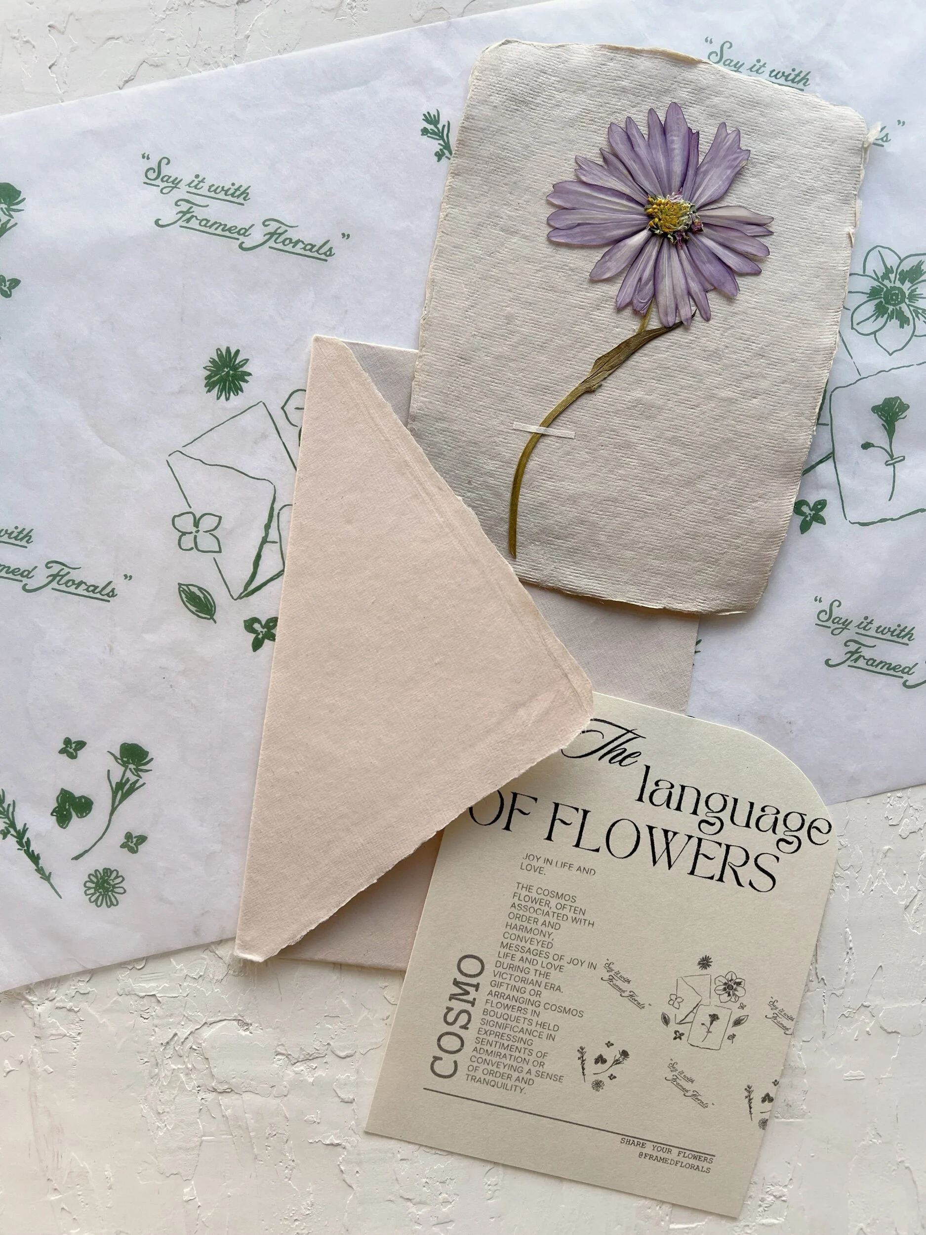 F66B2E51-D19D-4C23-9749-2974465C0F0D