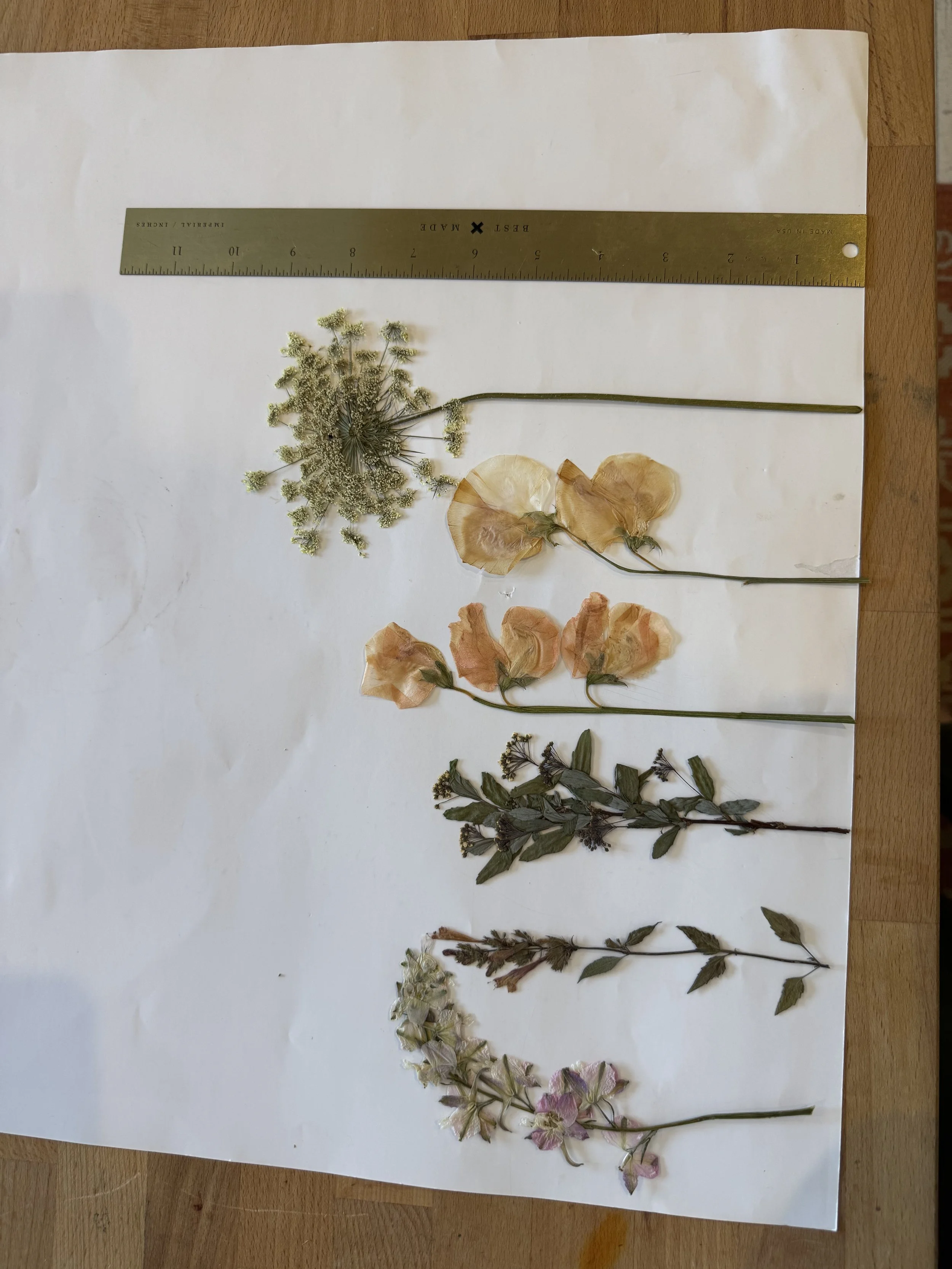 for natalia // pressings