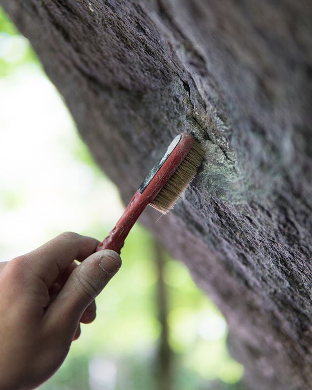 Brush.Send.Repeat

#send#climbing#rockclimbing#bouldering#brush