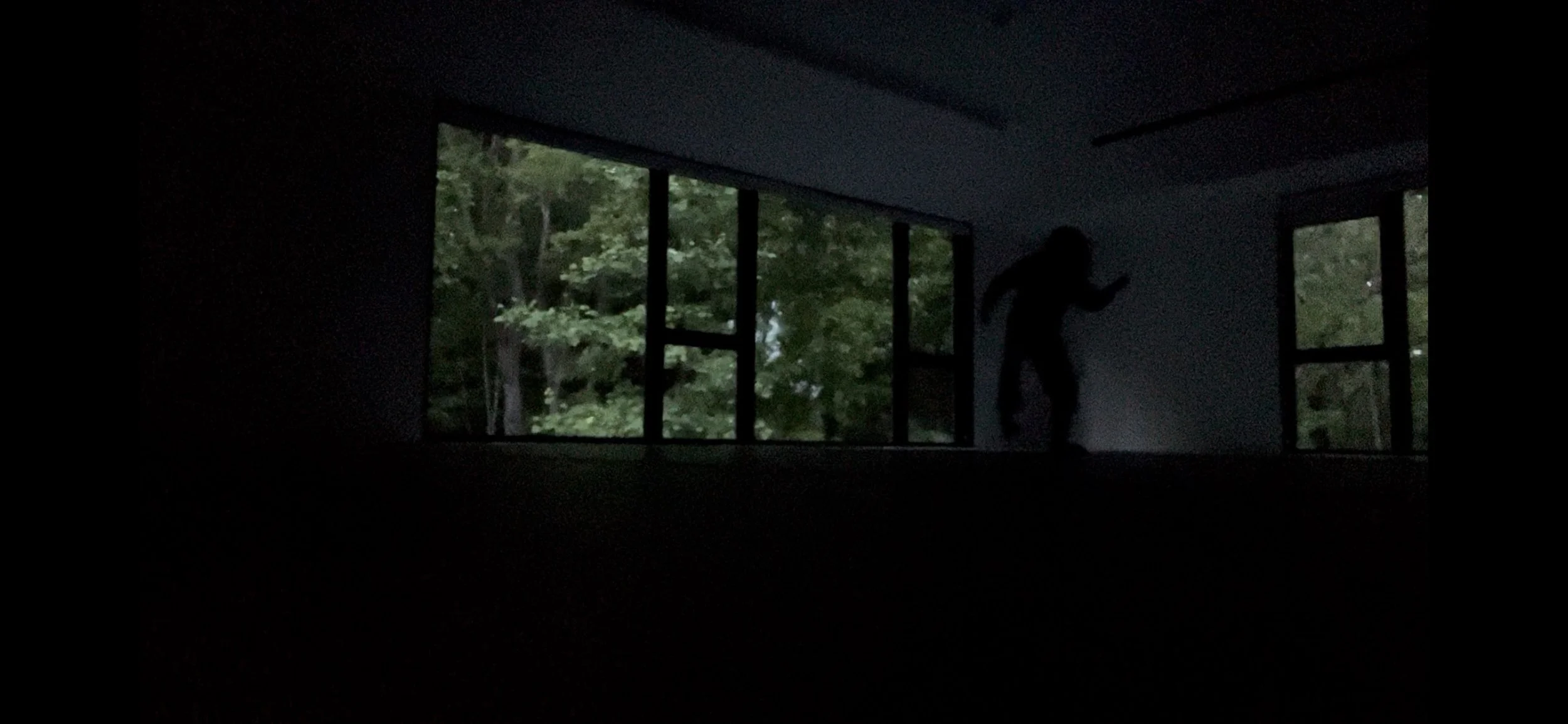 SHADOW.jpg