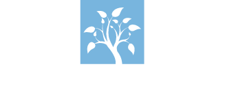 Simplified Divorce Solutions LLC