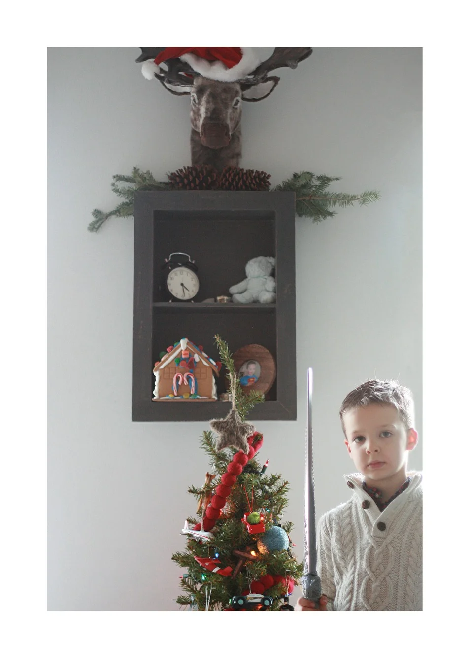 Lochlan inherited my old tree I’ve had since I was a young teenager!