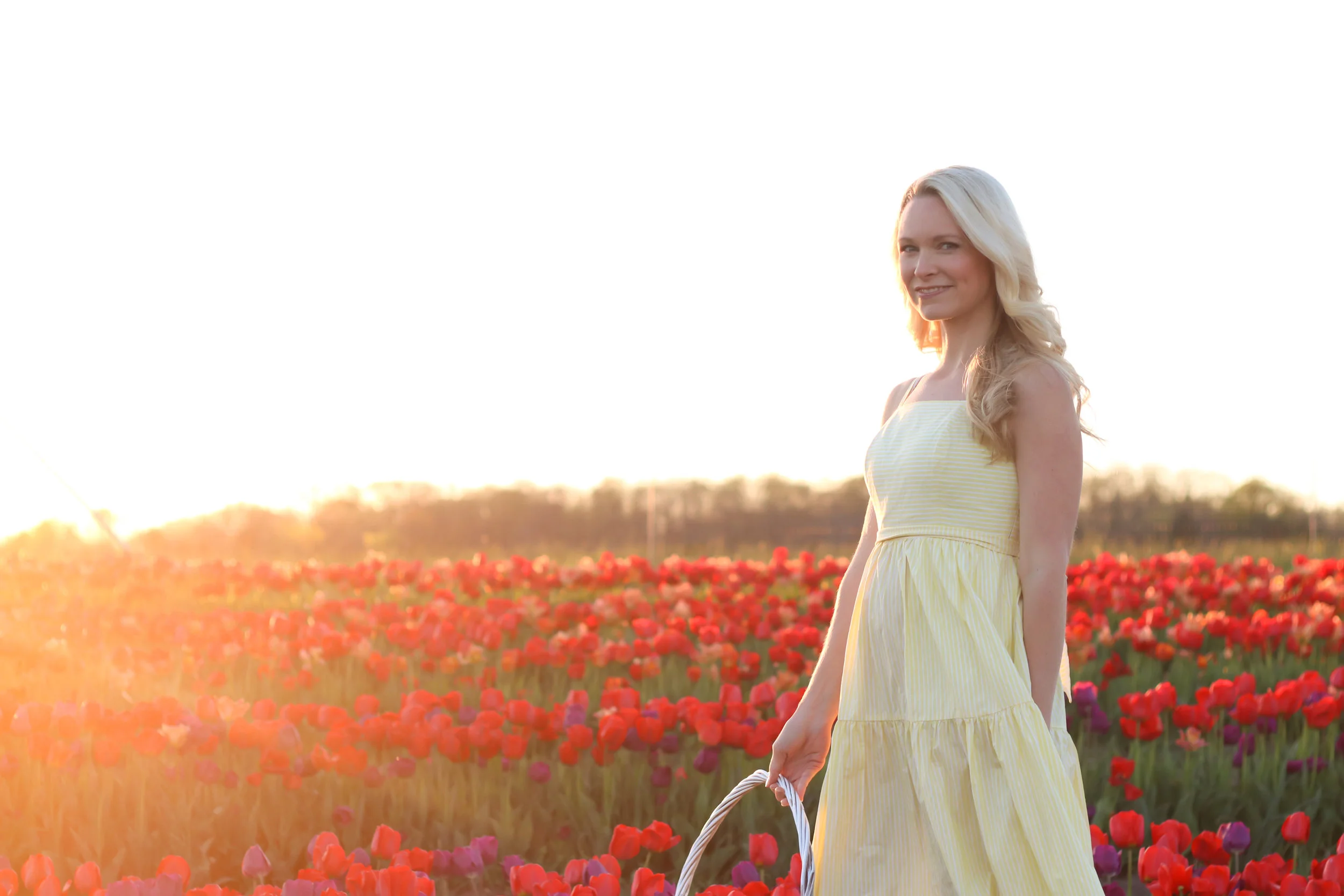 HeathersRefinementTulipField.jpg