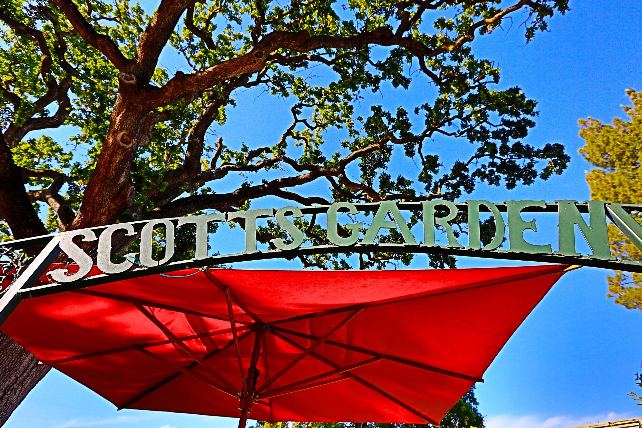 scott-s-seafood-walnut-creek-camp-camp-associates-inc