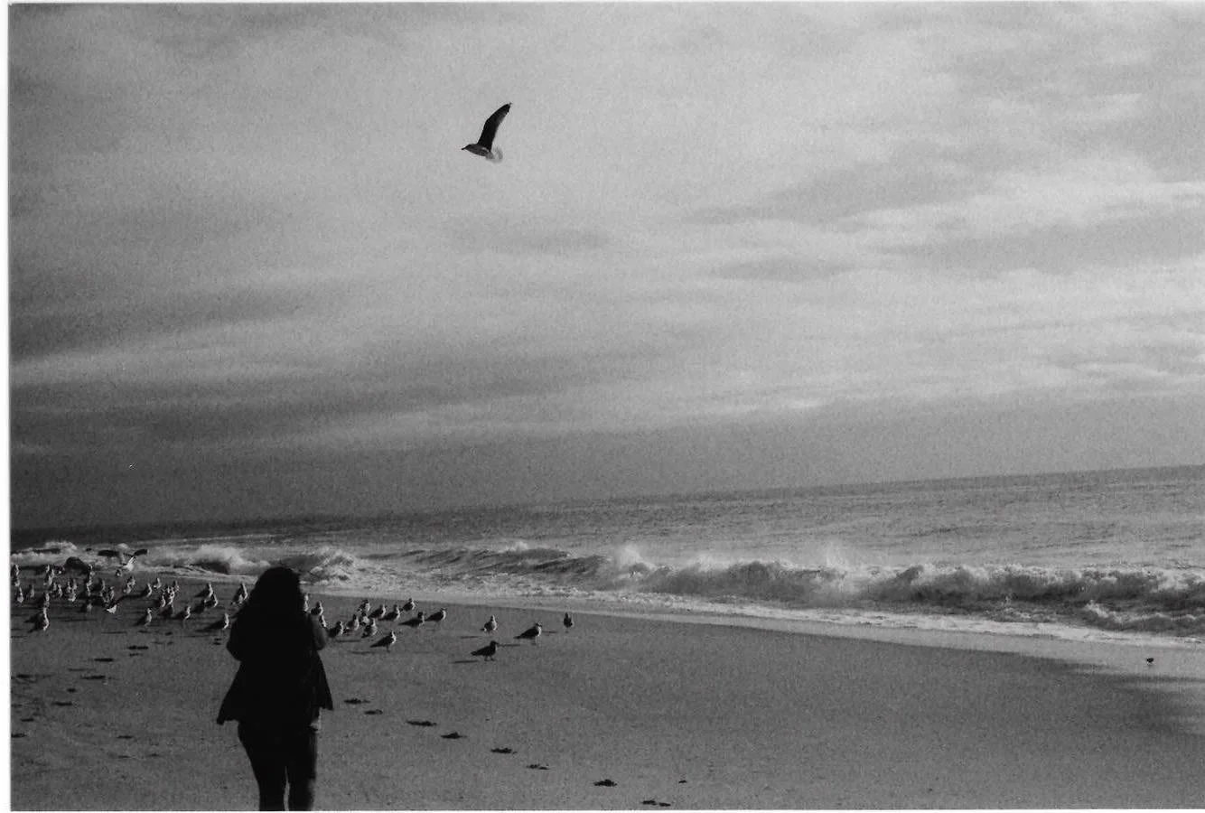 film, photo by Vanessa Serna