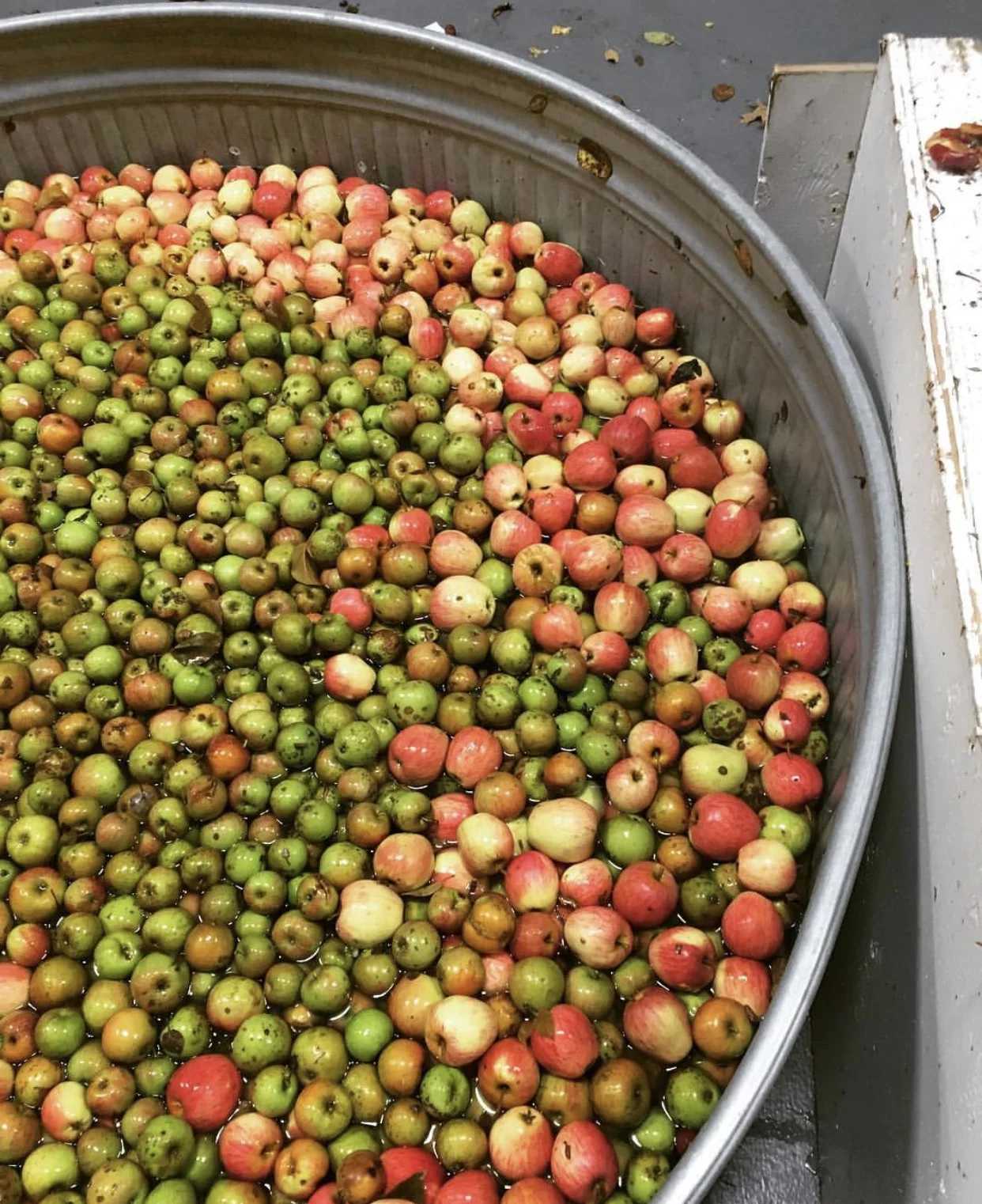 Call for Apples!! 2nd Annual PDX Apple Recycling collection Aug - Oct