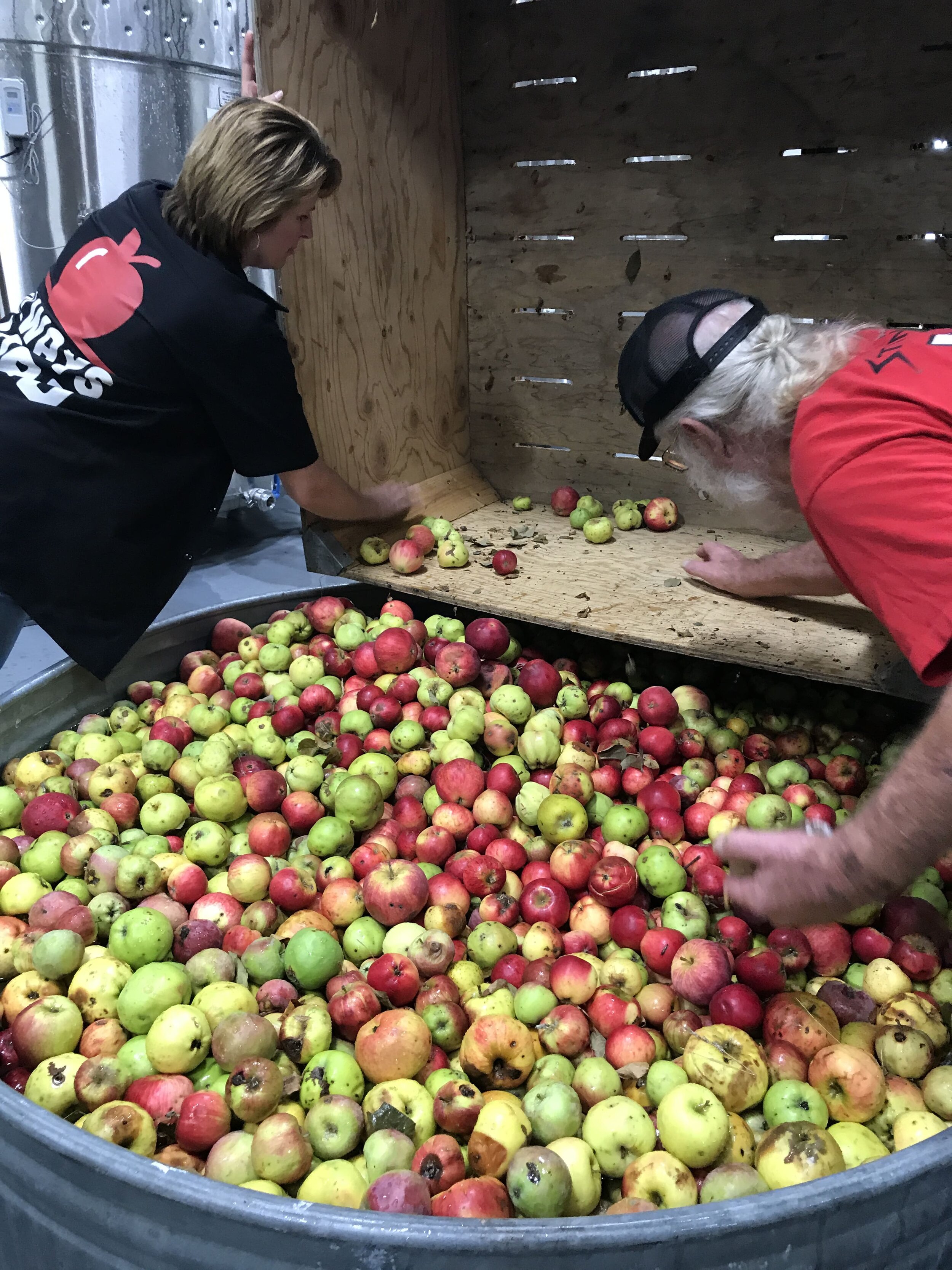 Lynda cleaning apples with father in law Steve Parrish-min.JPG