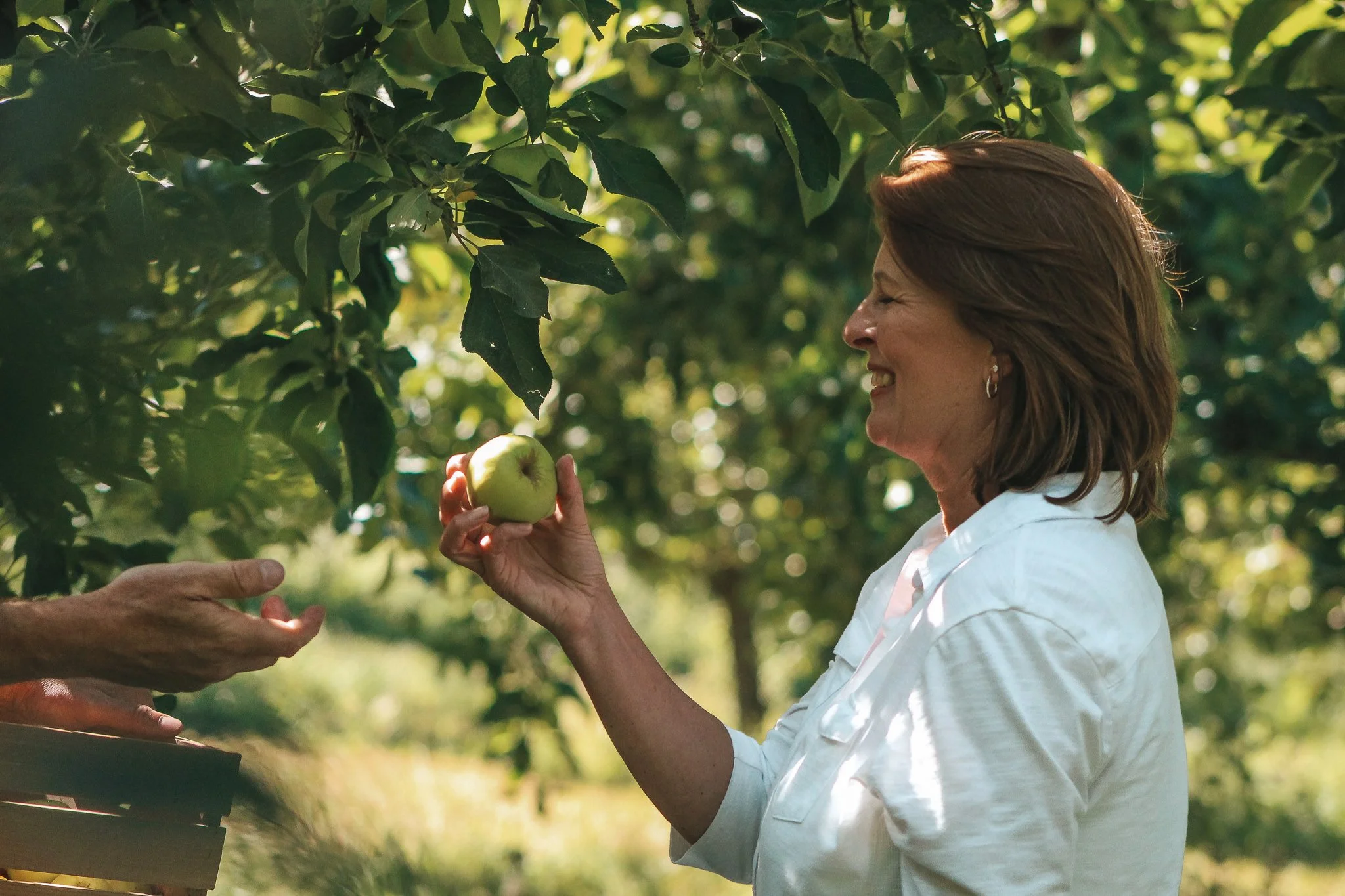 Old-world Tradition Meets Northwest Apples in English Pub Cider