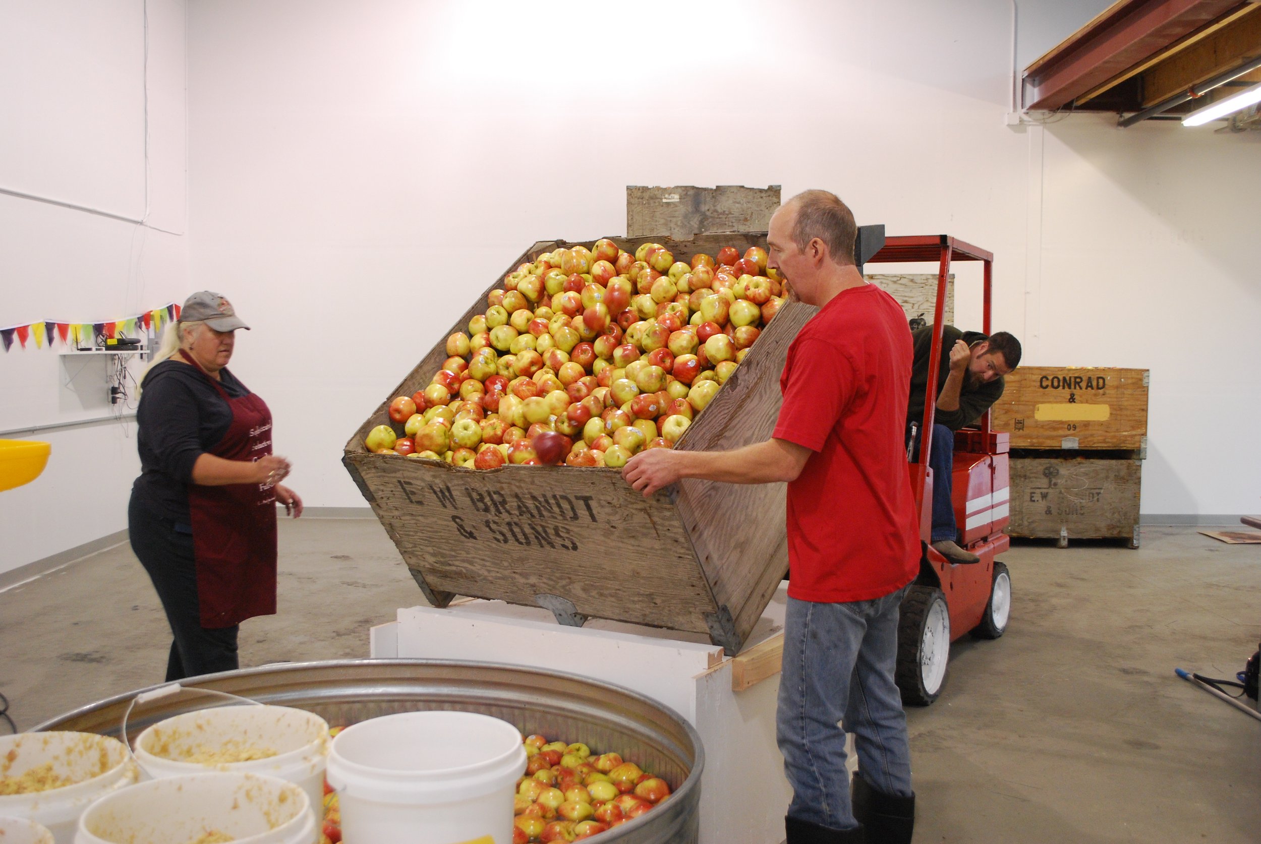 First apple pressing in 2013 (2).JPG