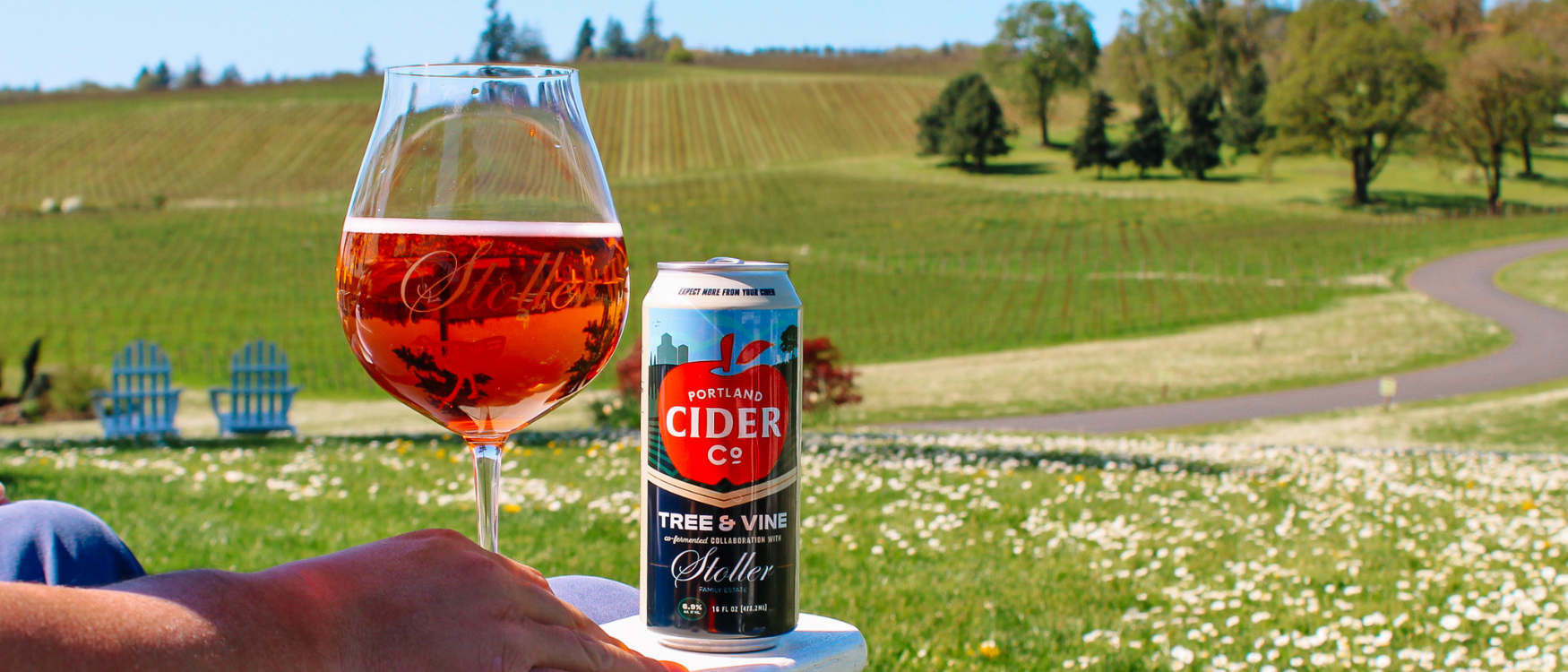 tree and vine wine glass banner.png