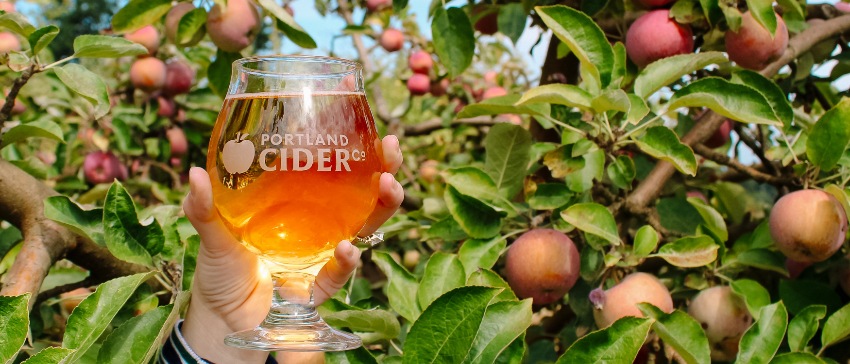 apple cider orchard banner.png