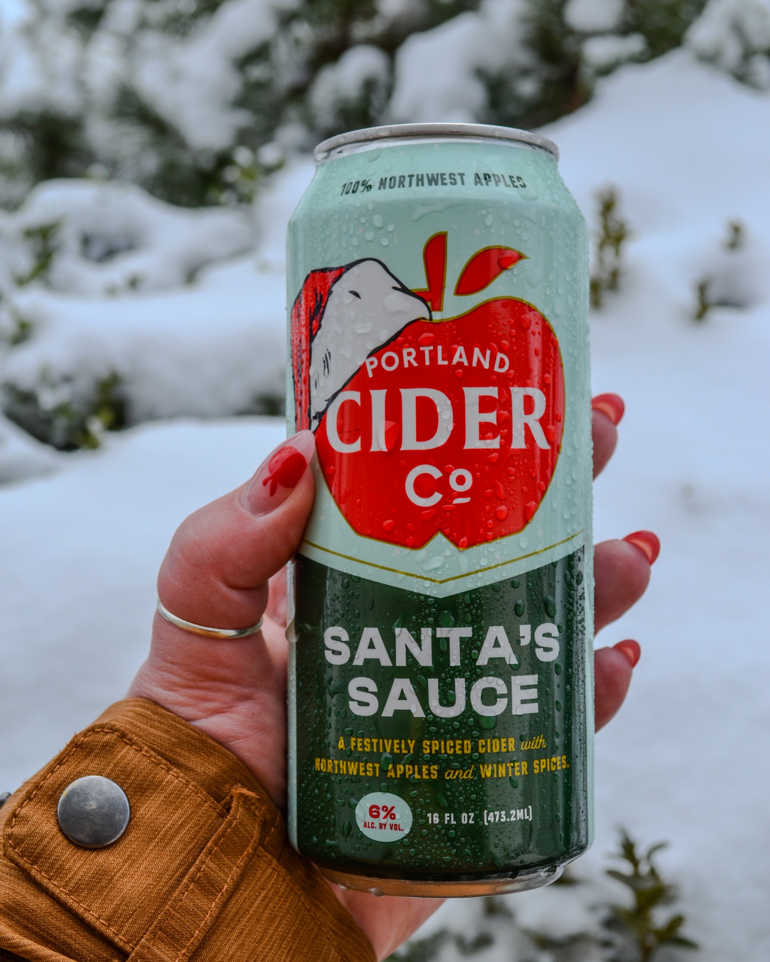 Snow 2025_santas sauce 4x5-5.jpg