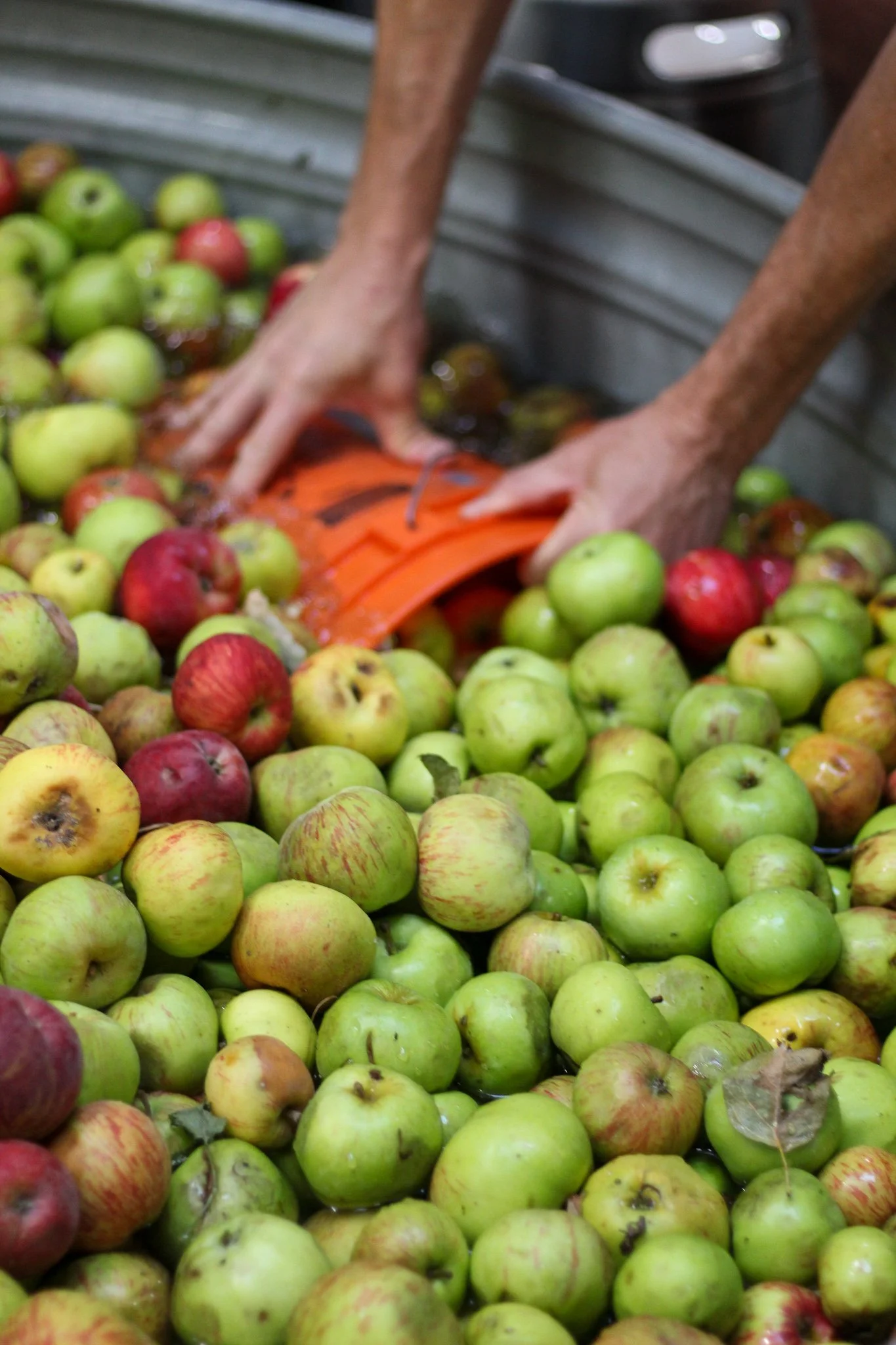 Portland Cider’s 7th Annual Fruit Forward Drive Kicks Off—With a Few ...