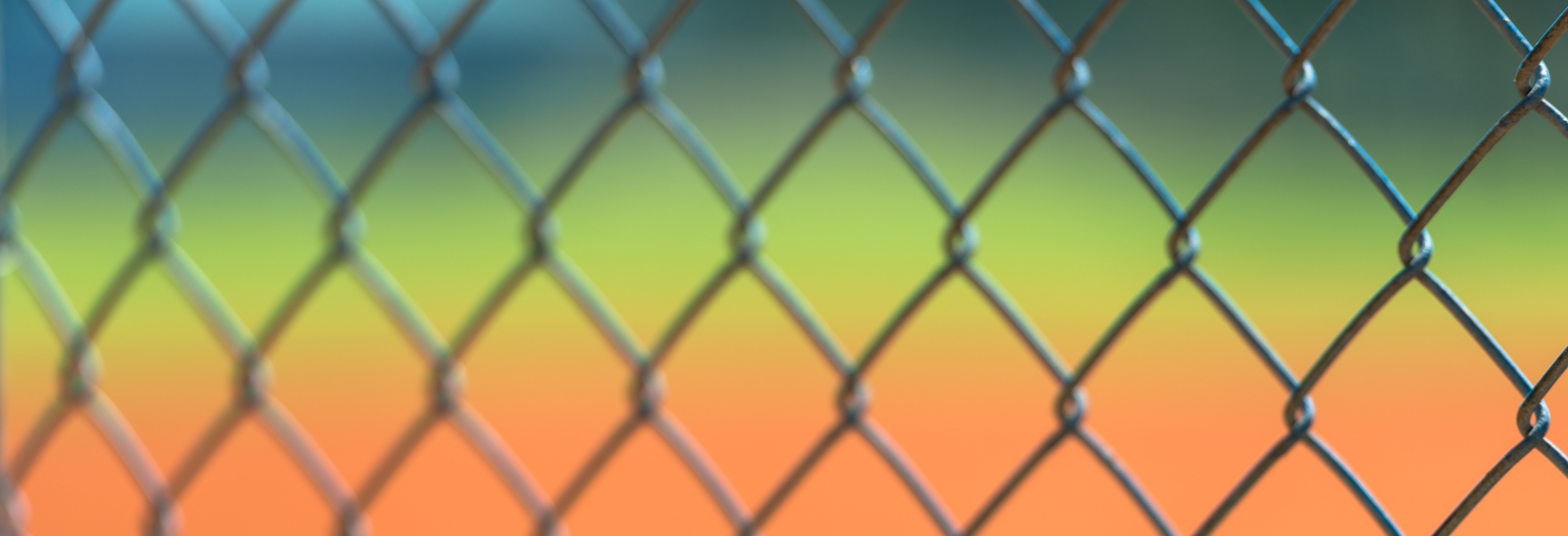 Website Topline Banners 2024.png