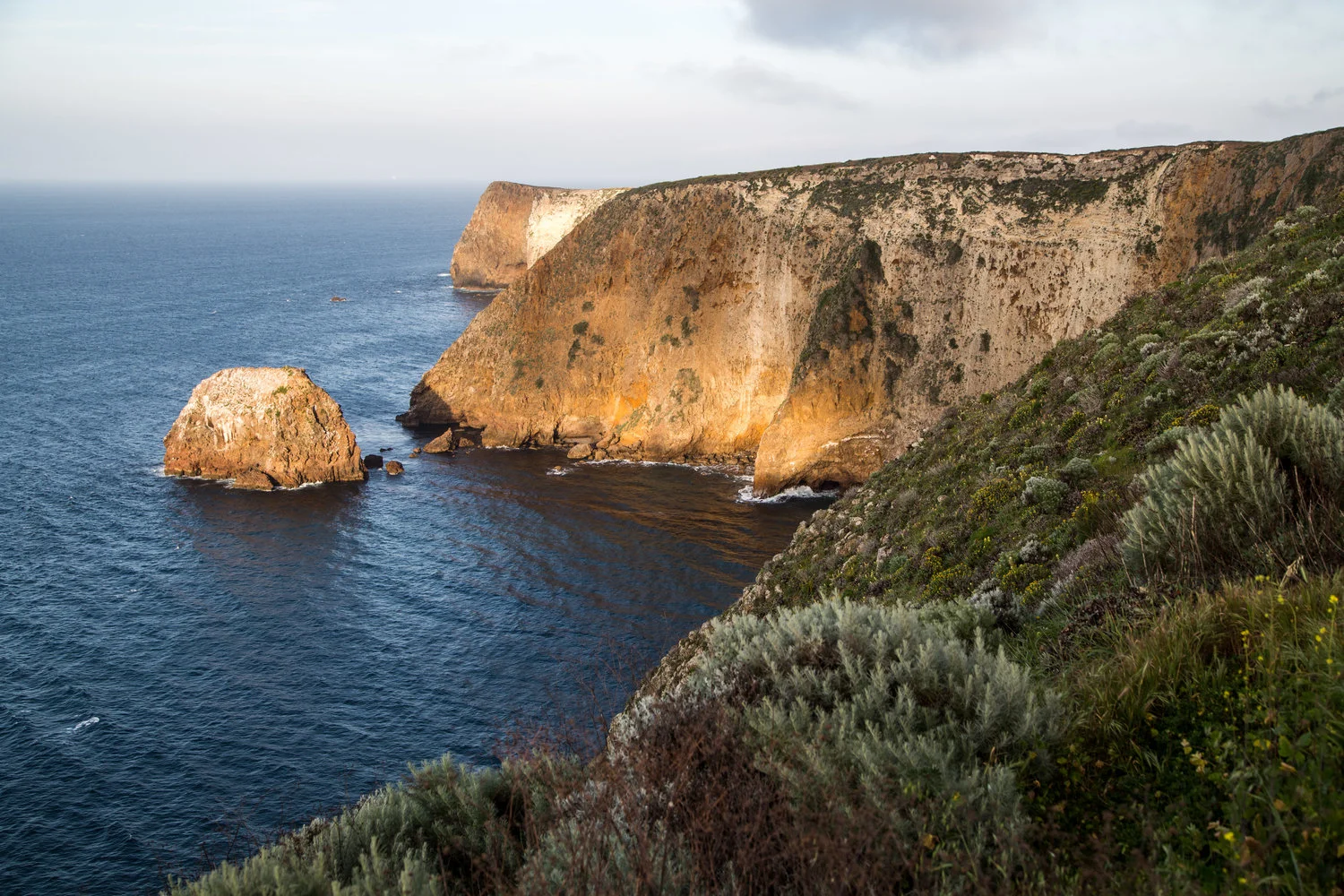 ISLANDS OF BIODIVERSITY: The other "Galápagoses"
