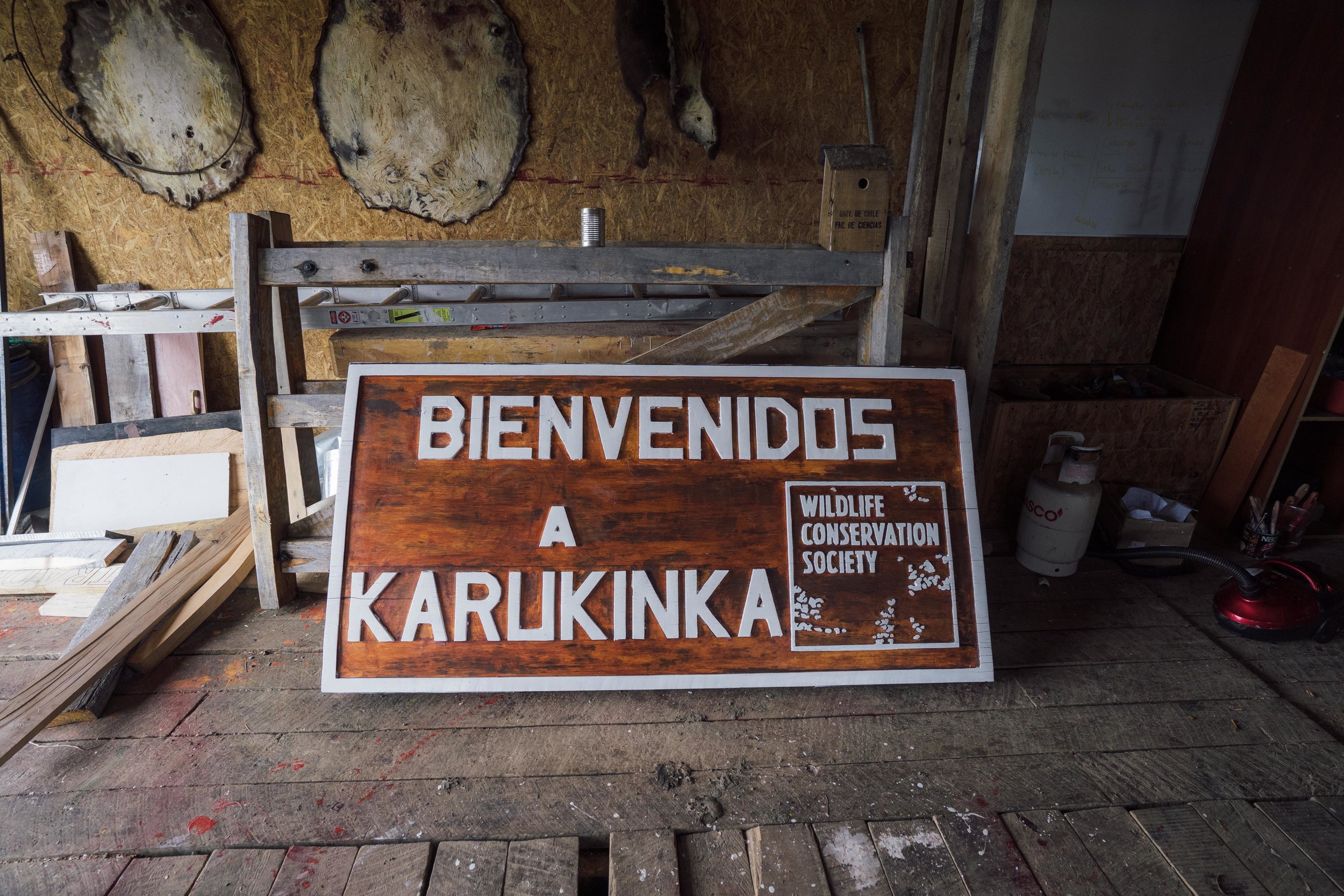 The new sign made by volunteers at the Vicuña HQ