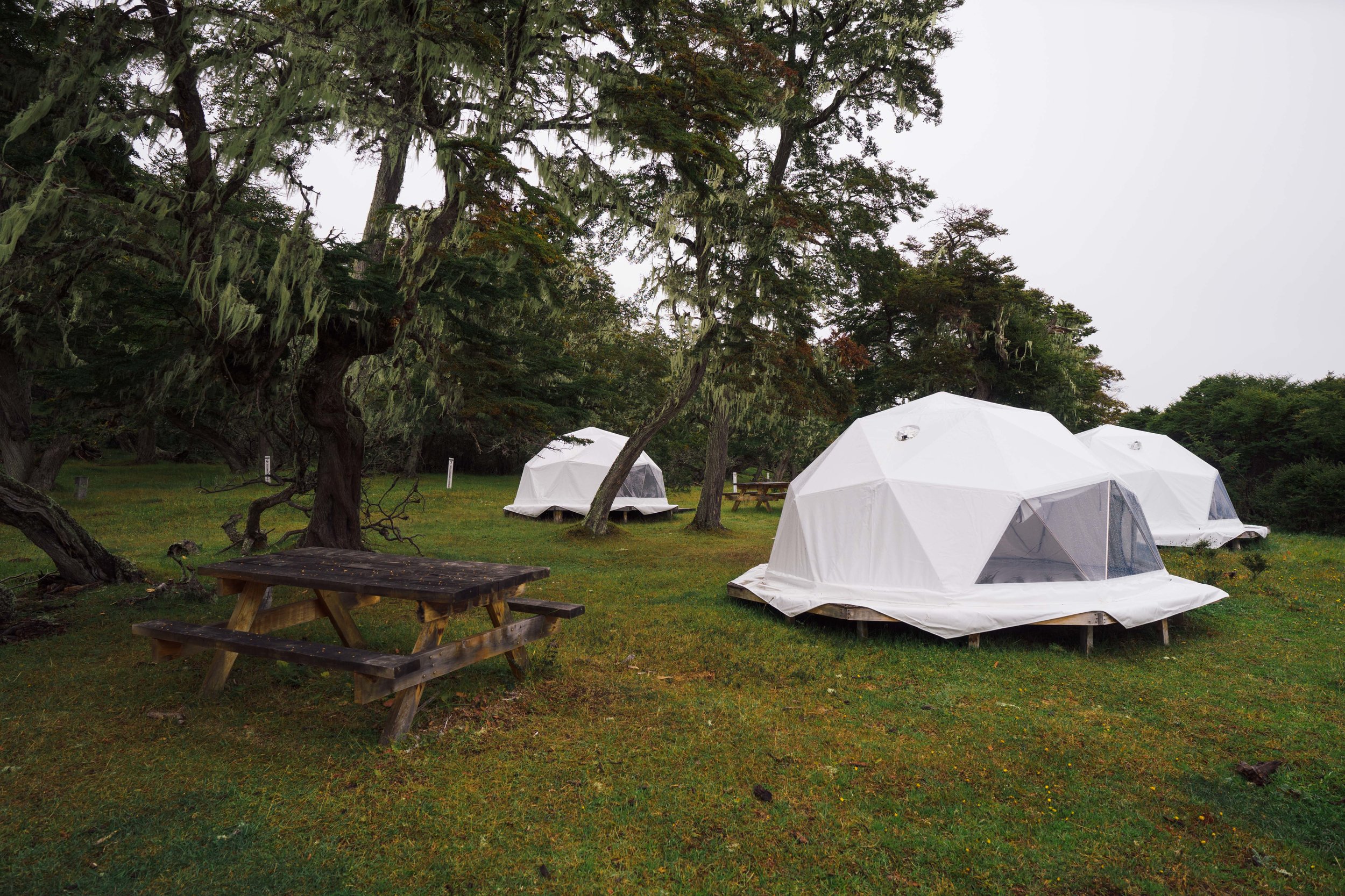 Dome tents and camping area in Vicuña, the gate to the Karukinka Park