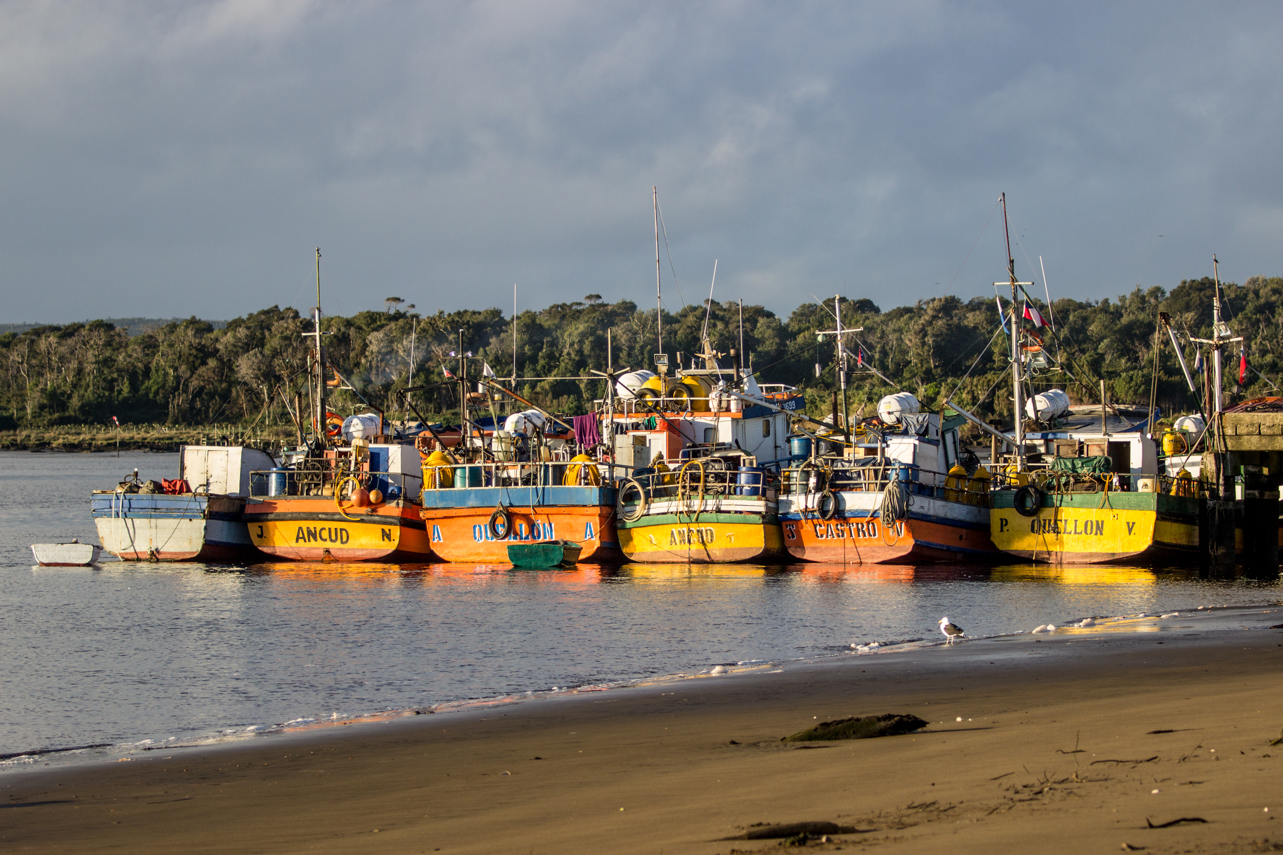 The typical boats from Chiloé. Inío is a village of fishermen.