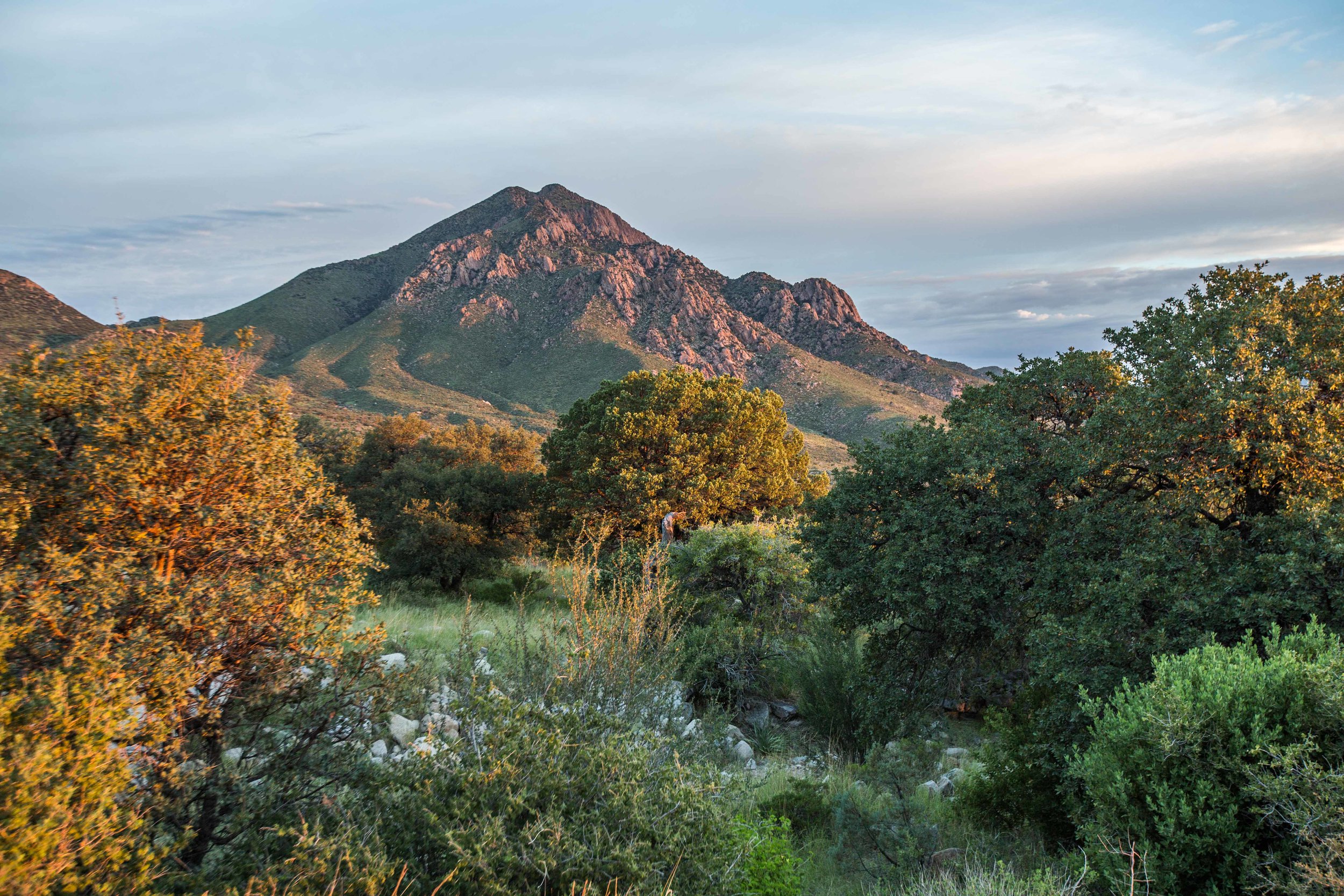 JPLotak - Organ Mountains