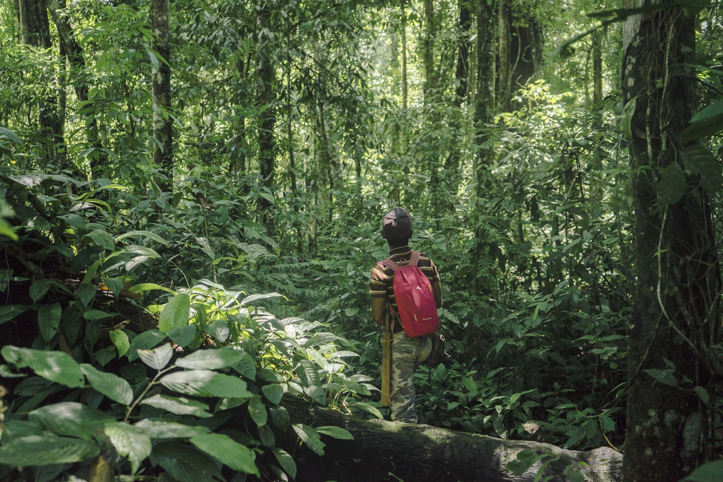 guide-gunung-leuser.jpg