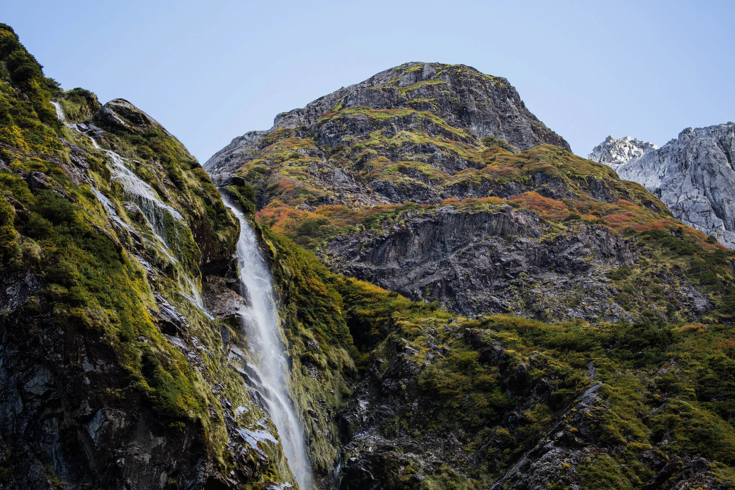 queulat-national-park.jpg