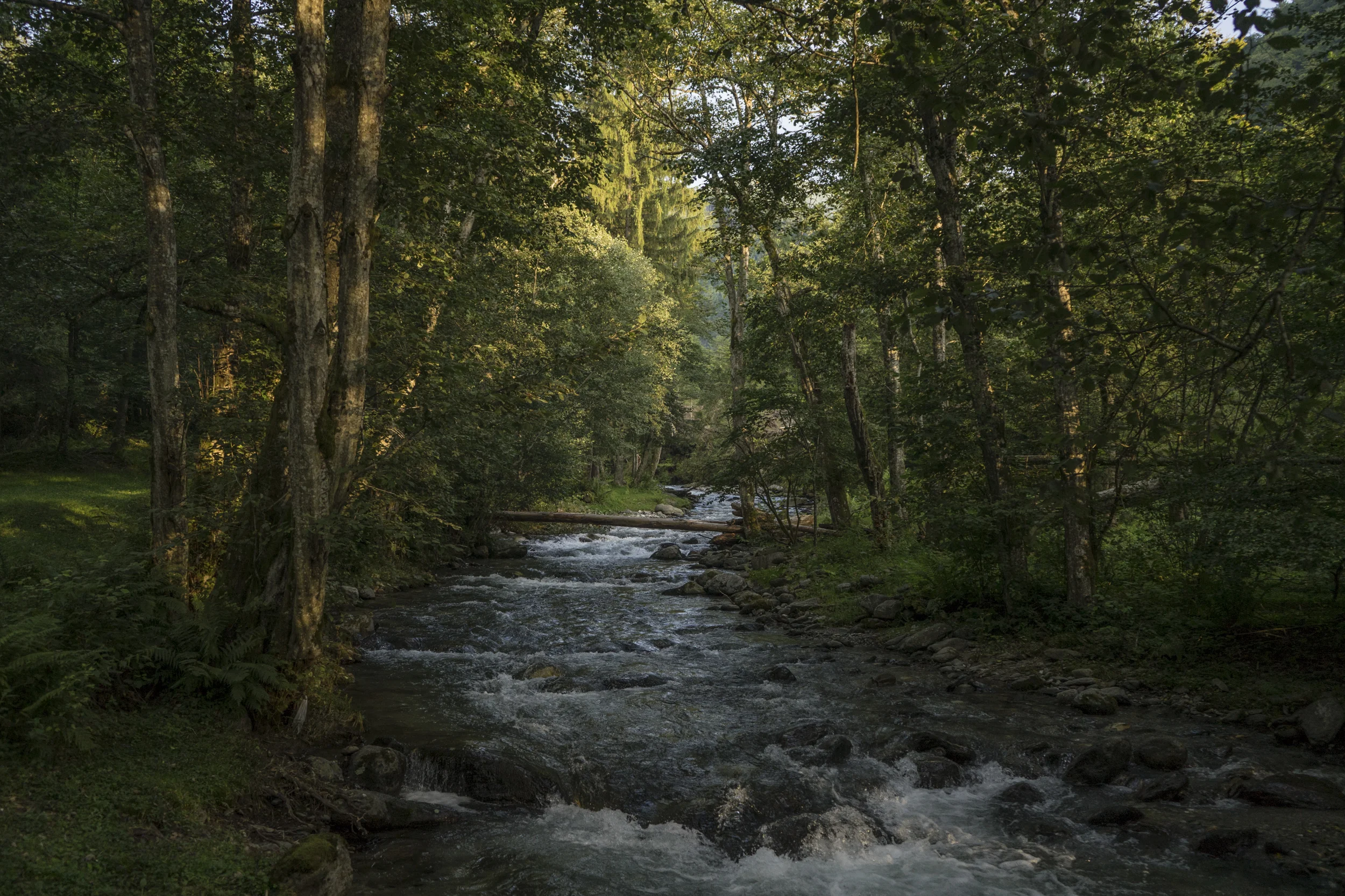 AELotak-20180809-DSC02192.jpg