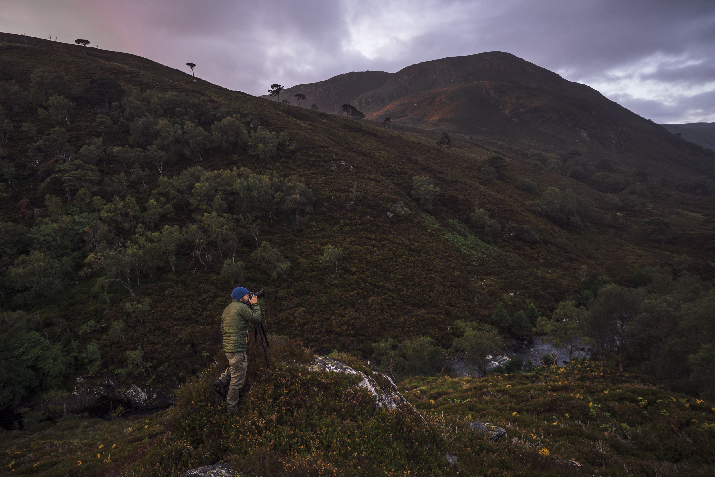 alladale-sunrise-highlands.jpg