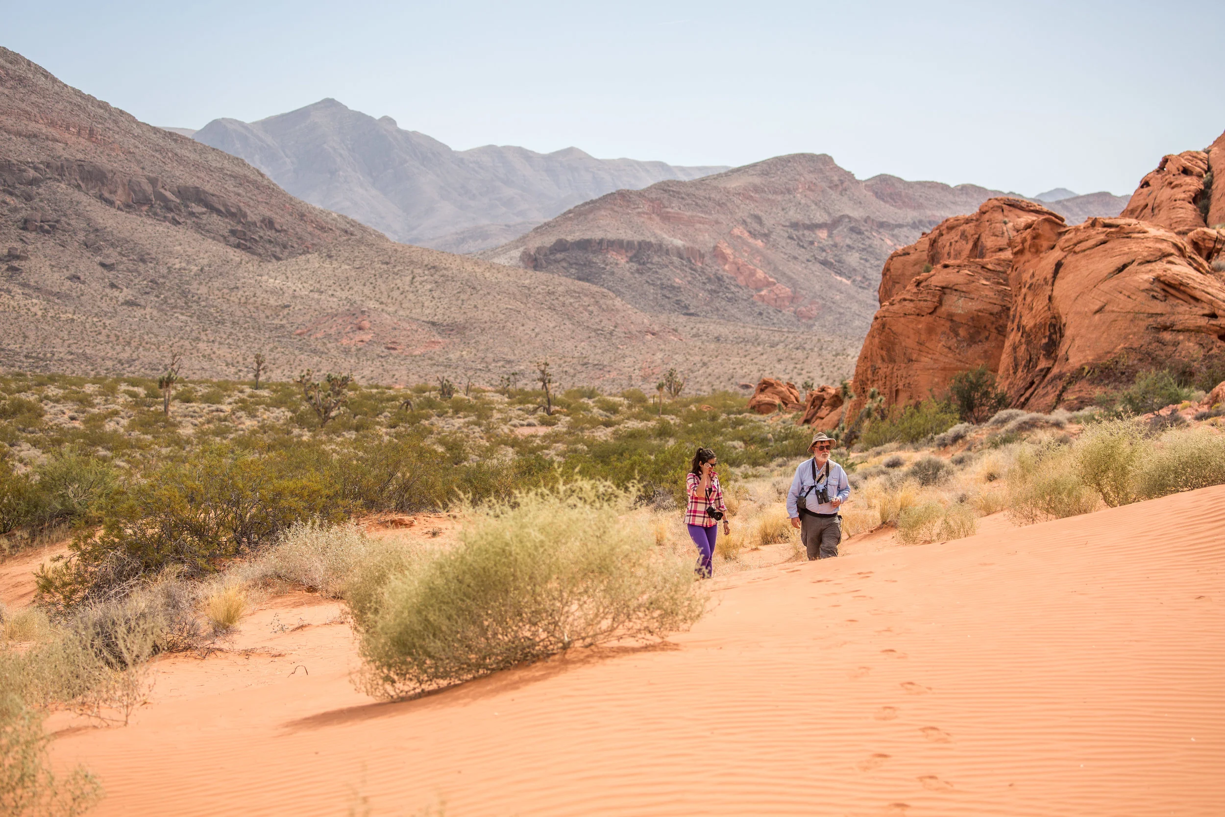 Jim, introducing us to a beautiful part of Gold Butte National Monument
