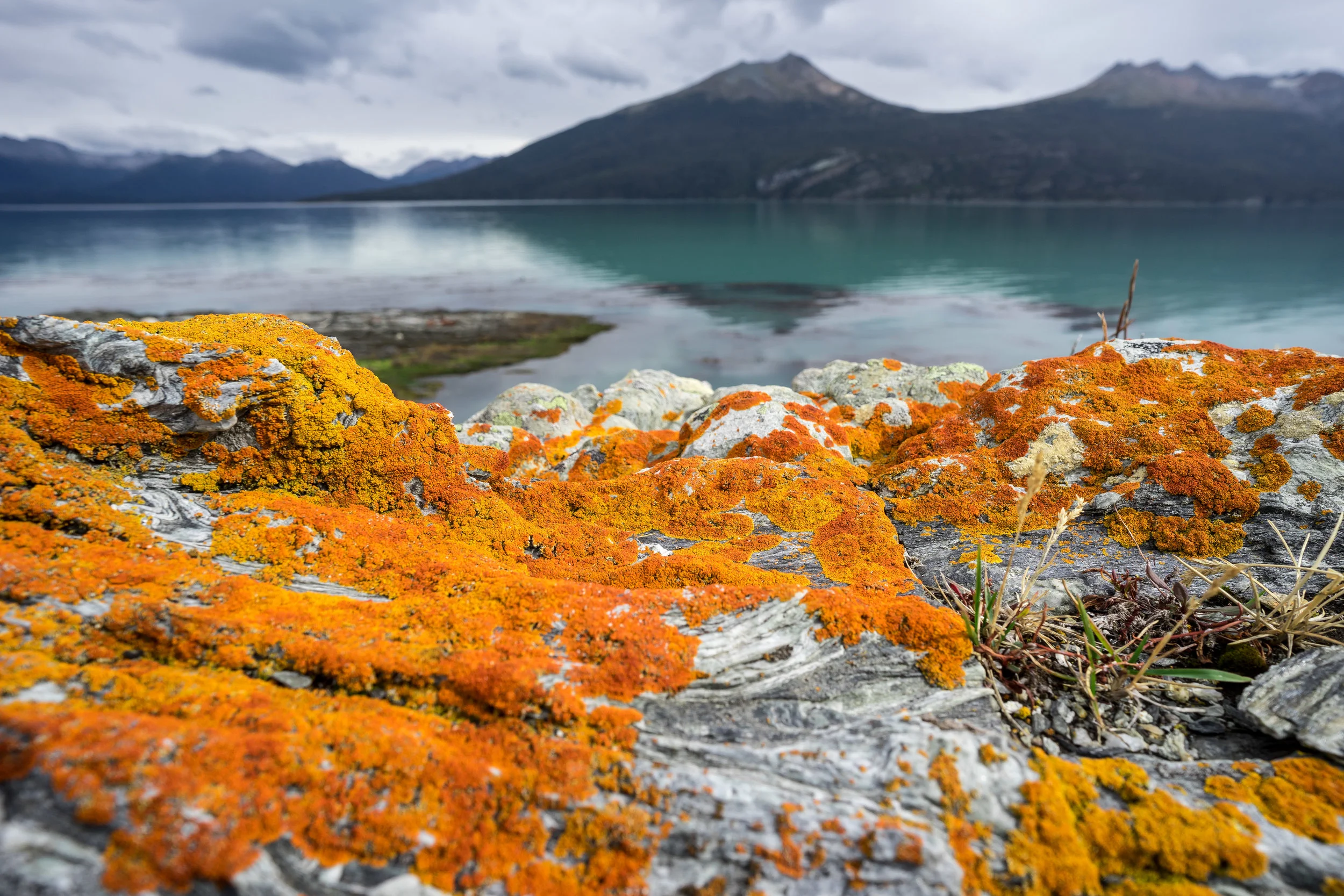 LOOKING DOWN Photographs Of The Micro Worlds In The Cape Horn 