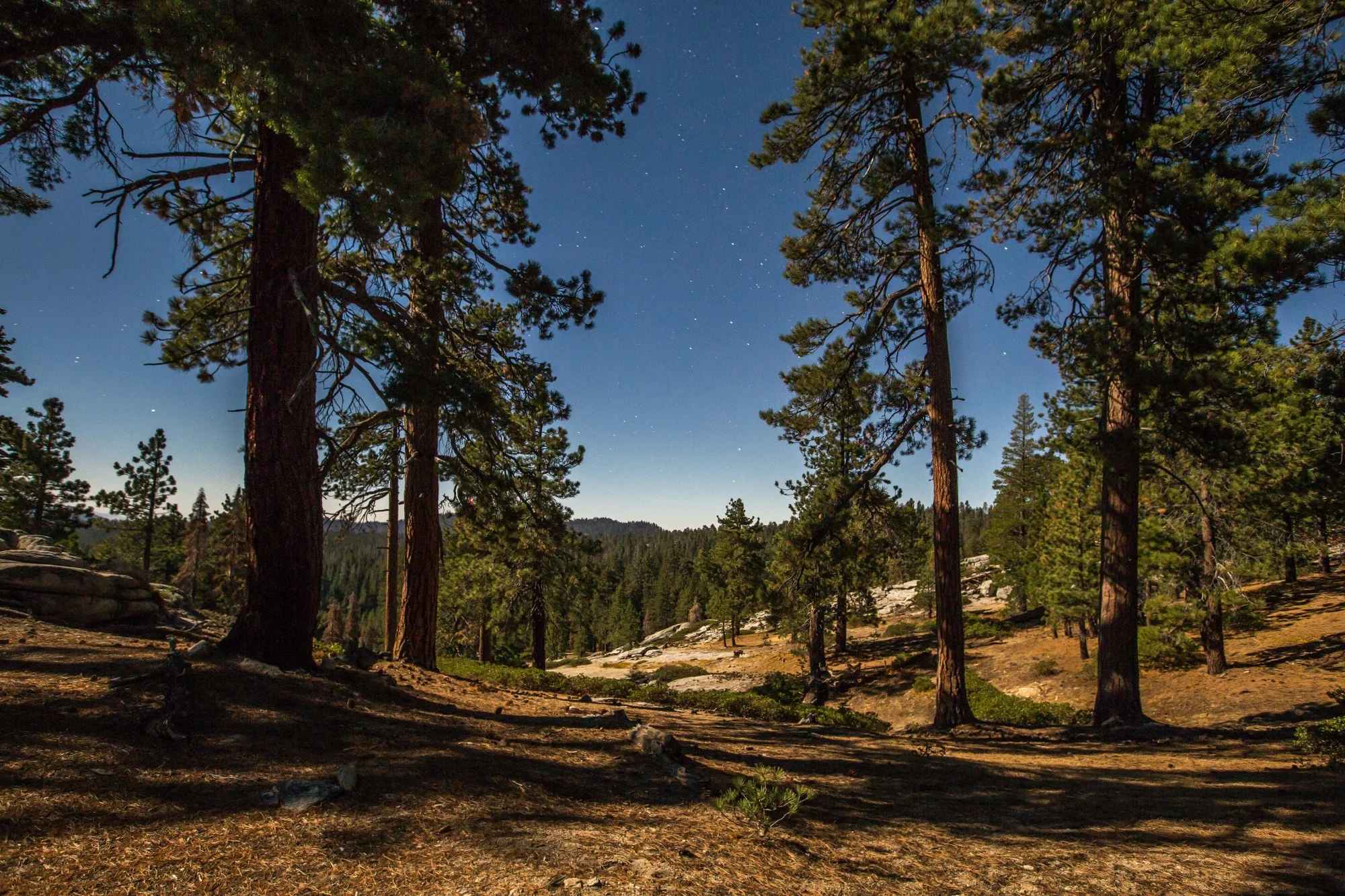 Nighttime outside the tent in the Giant Sequoia National Monument, surrounded by the Sierras