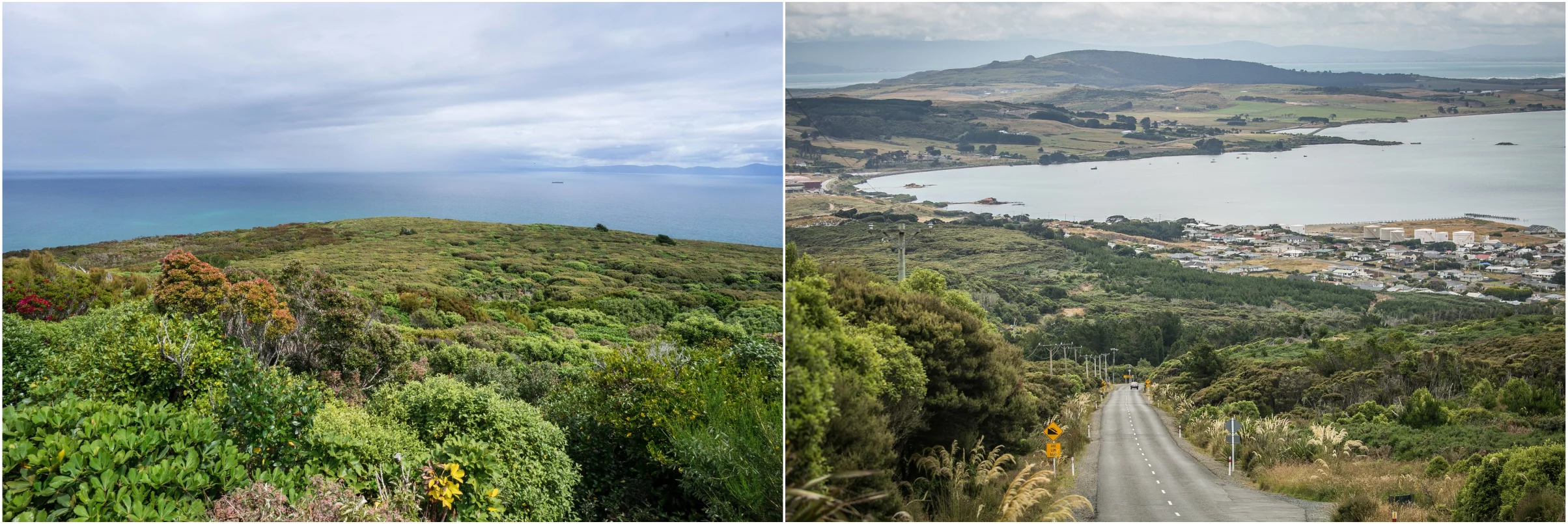 Bluff-view-teararoa.jpg