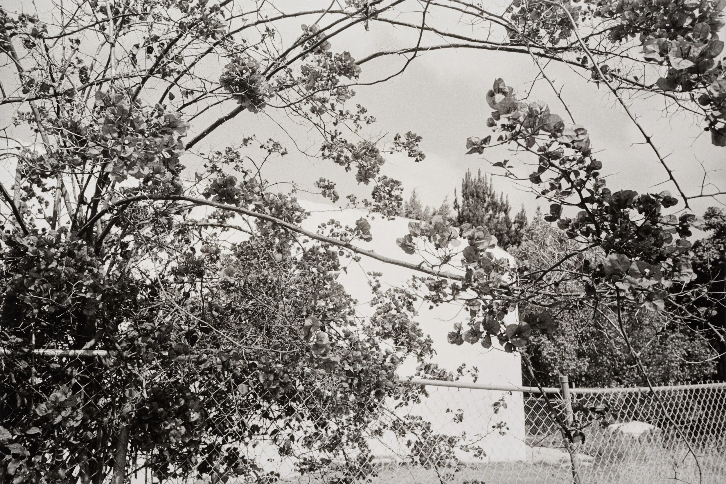 08-JON_STARS-Los-Angeles-California-2021-2.jpg