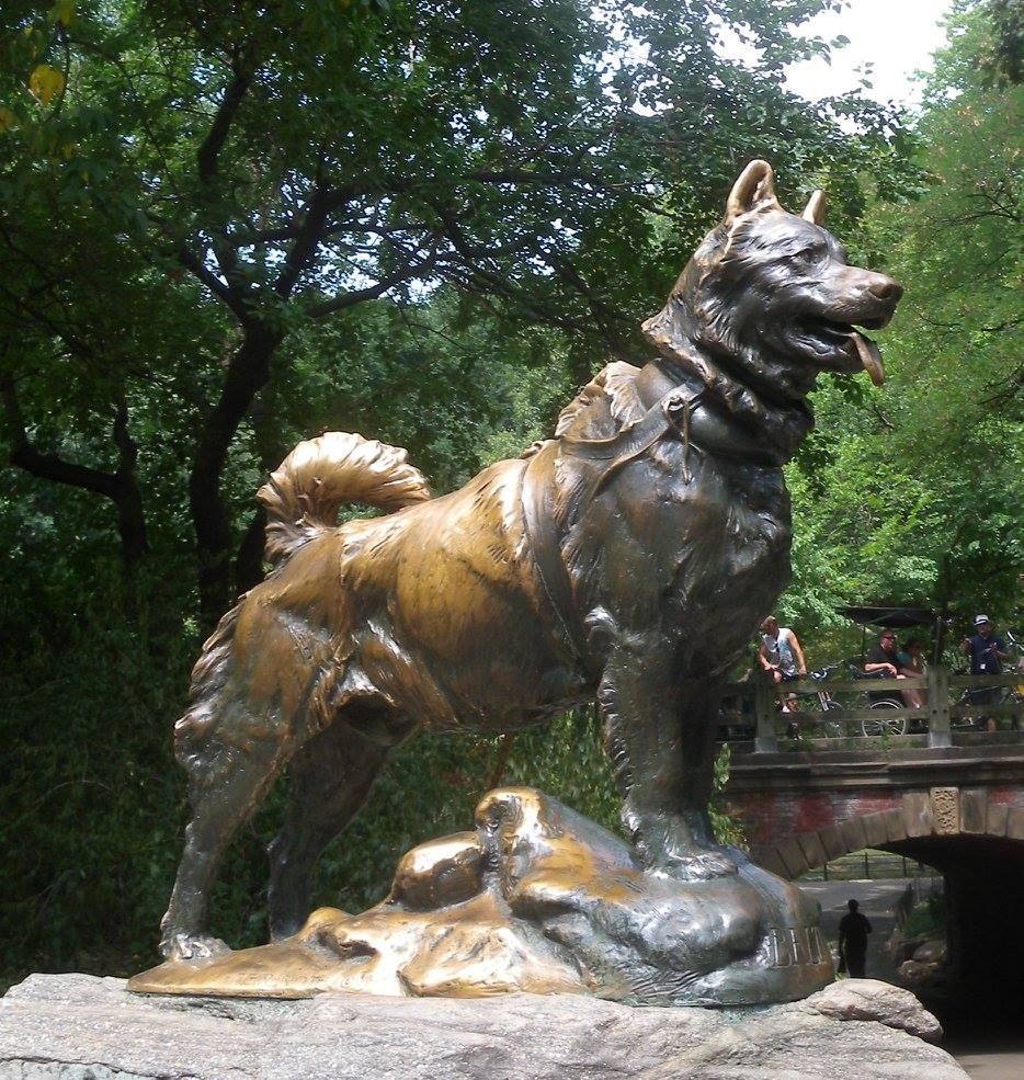 Balto in Central Park, New York City. Helen Hegener