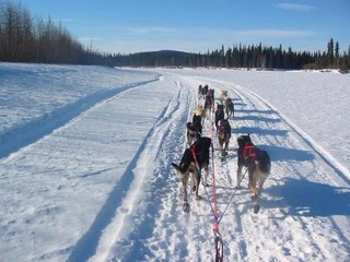 Iditarod Trail on Kuskokwim River, between Nikolai and McGrath