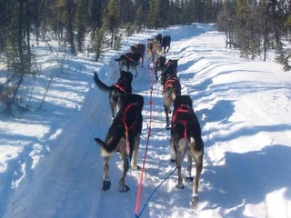  Iditarod trail between John and Nikolai