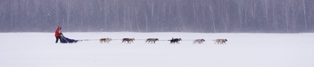 Moe mushing along Devil Track Lake, an area of the Beargrease Marathon in Cook County, Minnesota