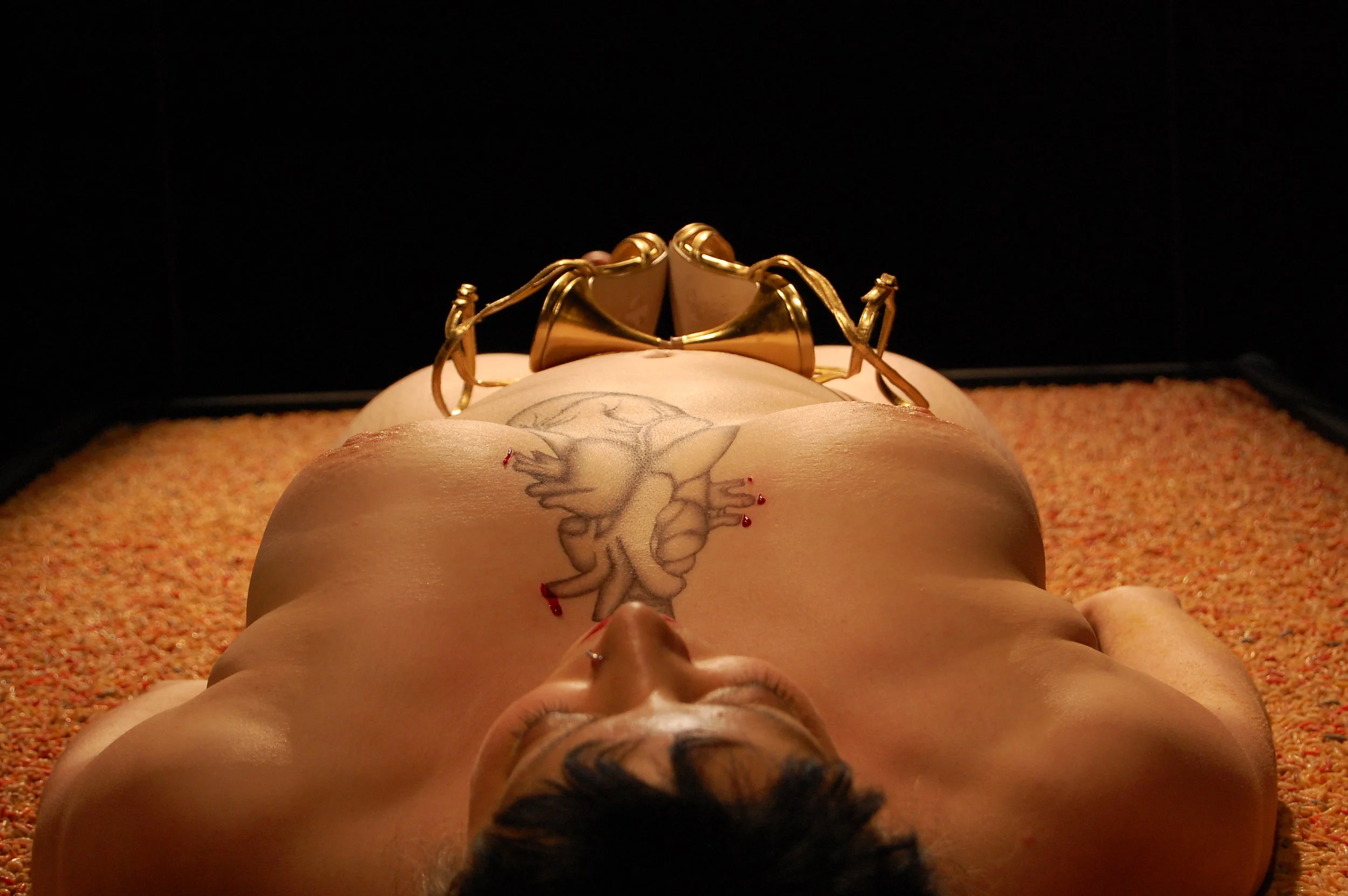   RUPTURE (from LONE DUETS)  Live performance   Material  20 minute performance with anatomical heart drawing, rainbow-coloured maggots, scalpel, and suspended platform.  The opening of the body and the colon of a conversation…&nbsp; Rupture &nbsp;is